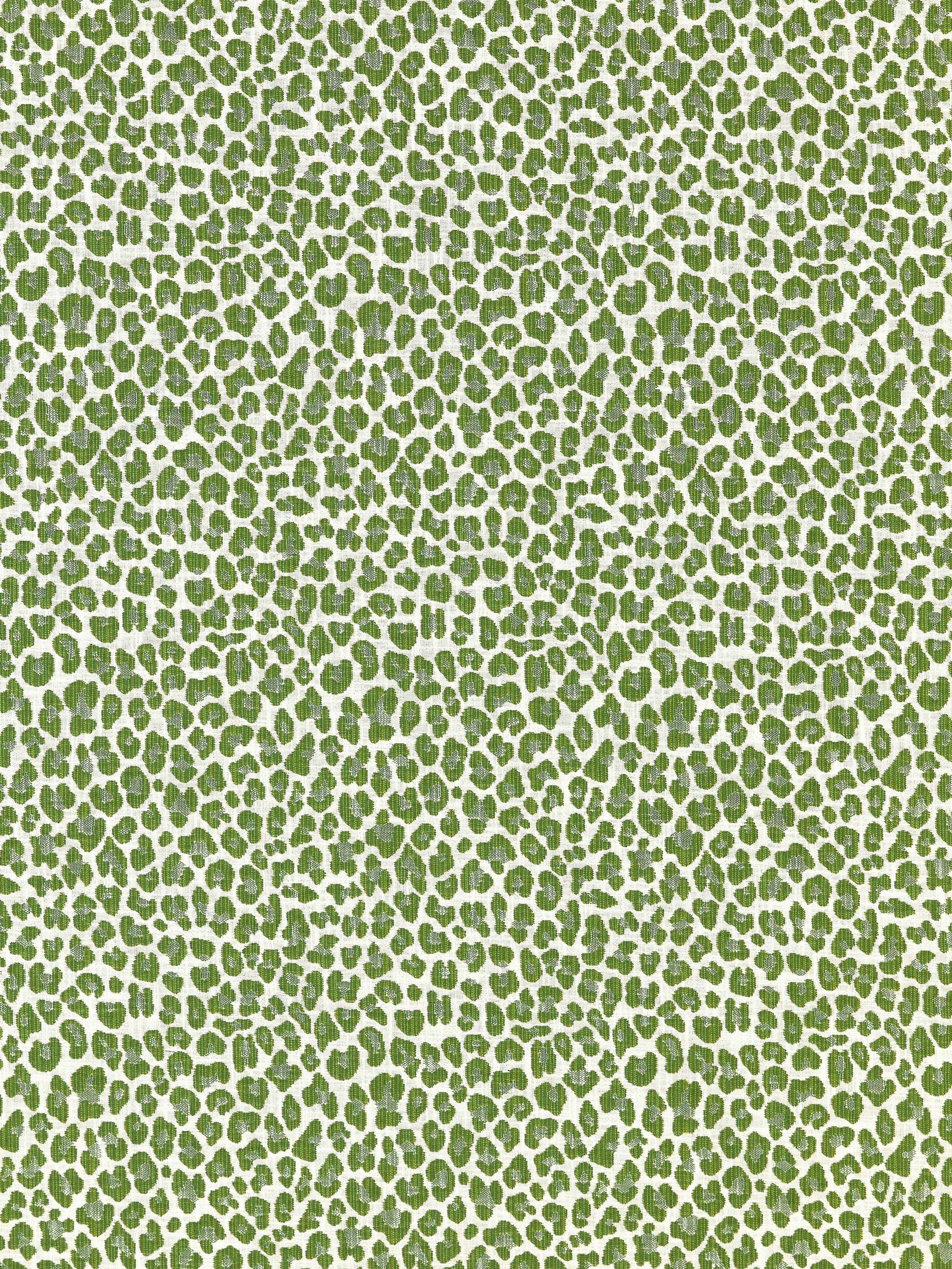 Backyard Bengal fabric in ivy color - pattern number SC 000327316 - by Scalamandre in the Scalamandre Fabrics Book 1 collection