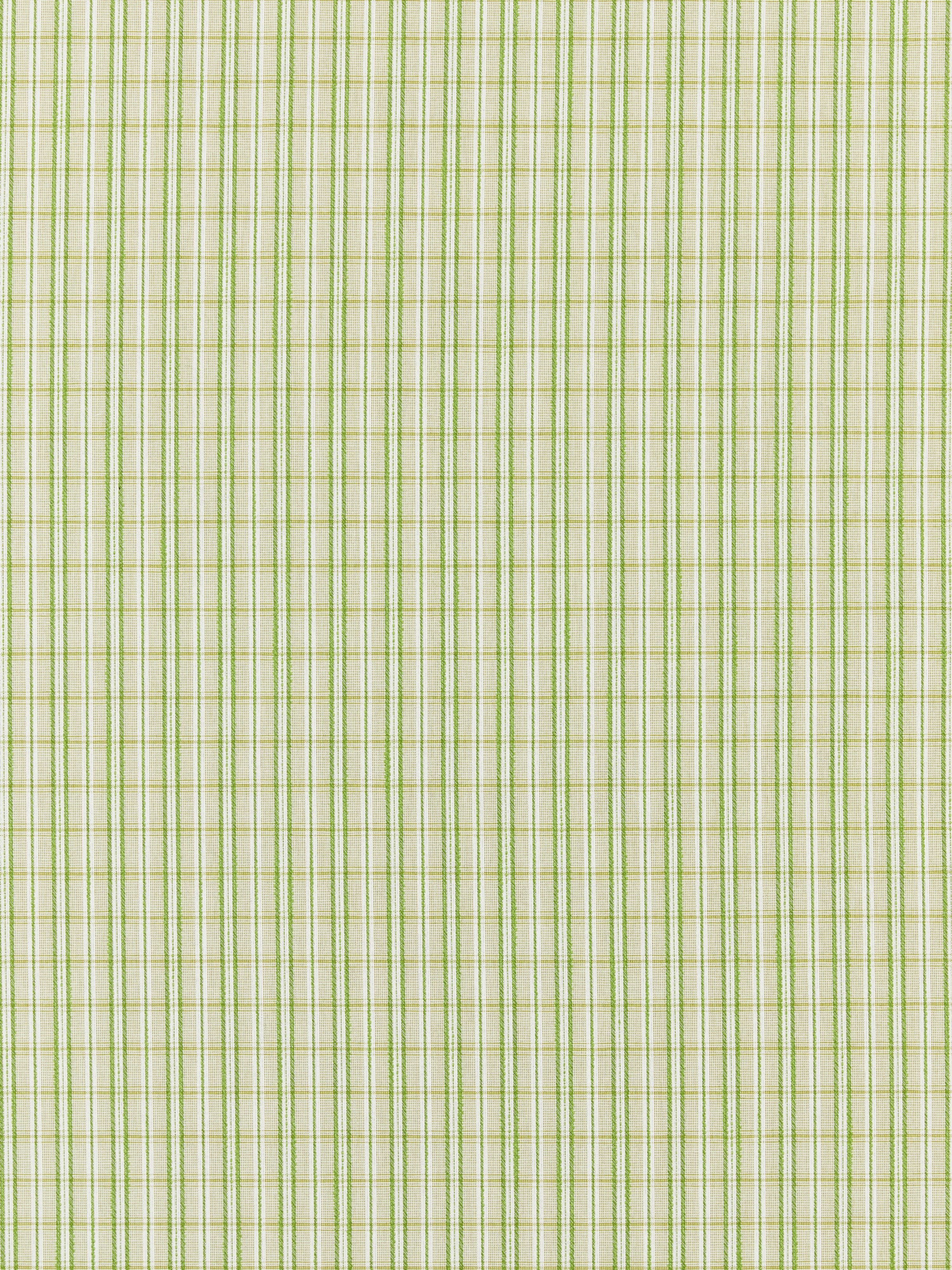 Check Please Outdoor fabric in fern color - pattern number SC 000327318 - by Scalamandre in the Scalamandre Fabrics Book 1 collection
