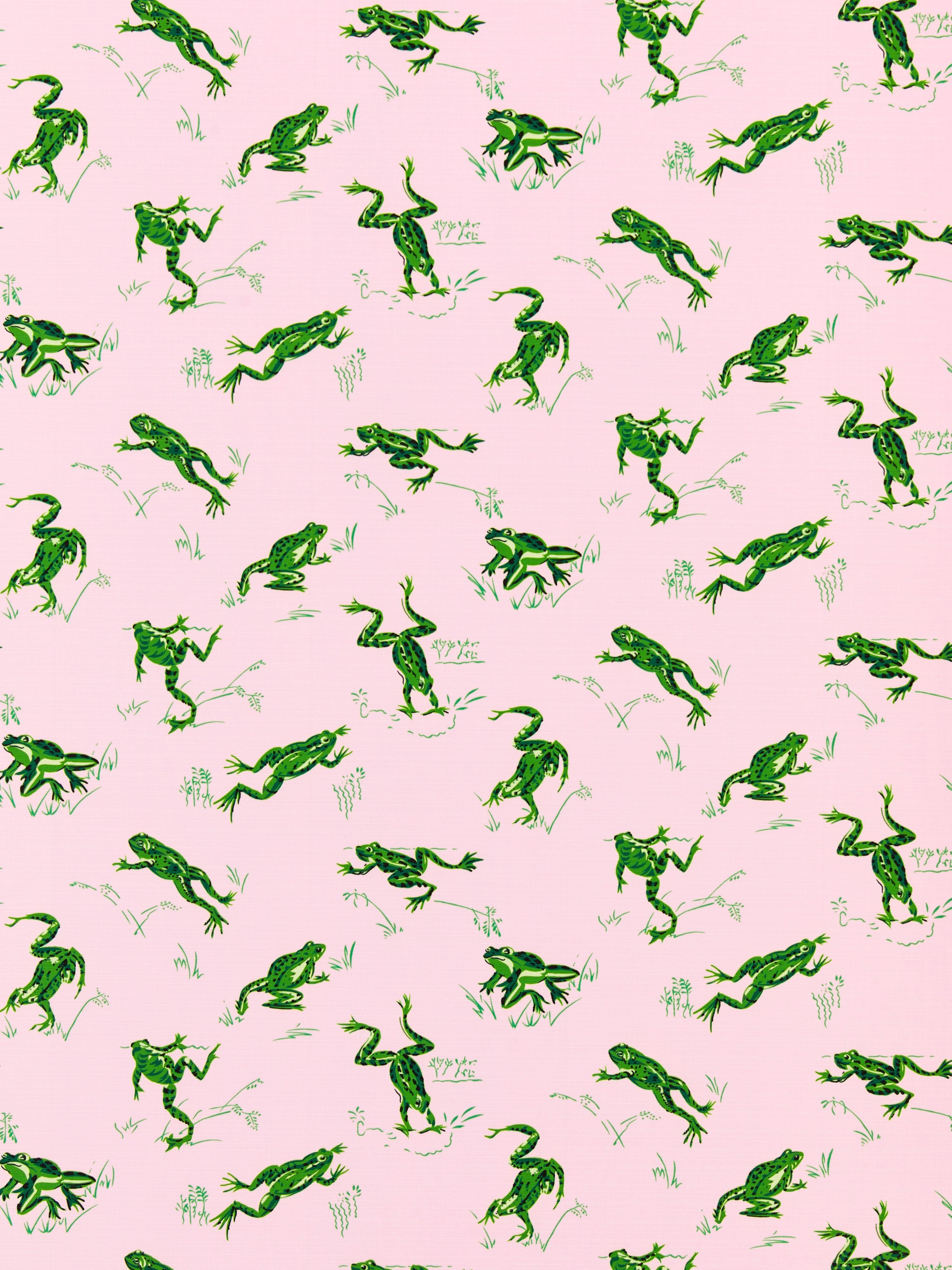 Calabasas County Outdoor fabric in camelia color - pattern number SC 000416426M - by Scalamandre in the Scalamandre Fabrics Book 1 collection