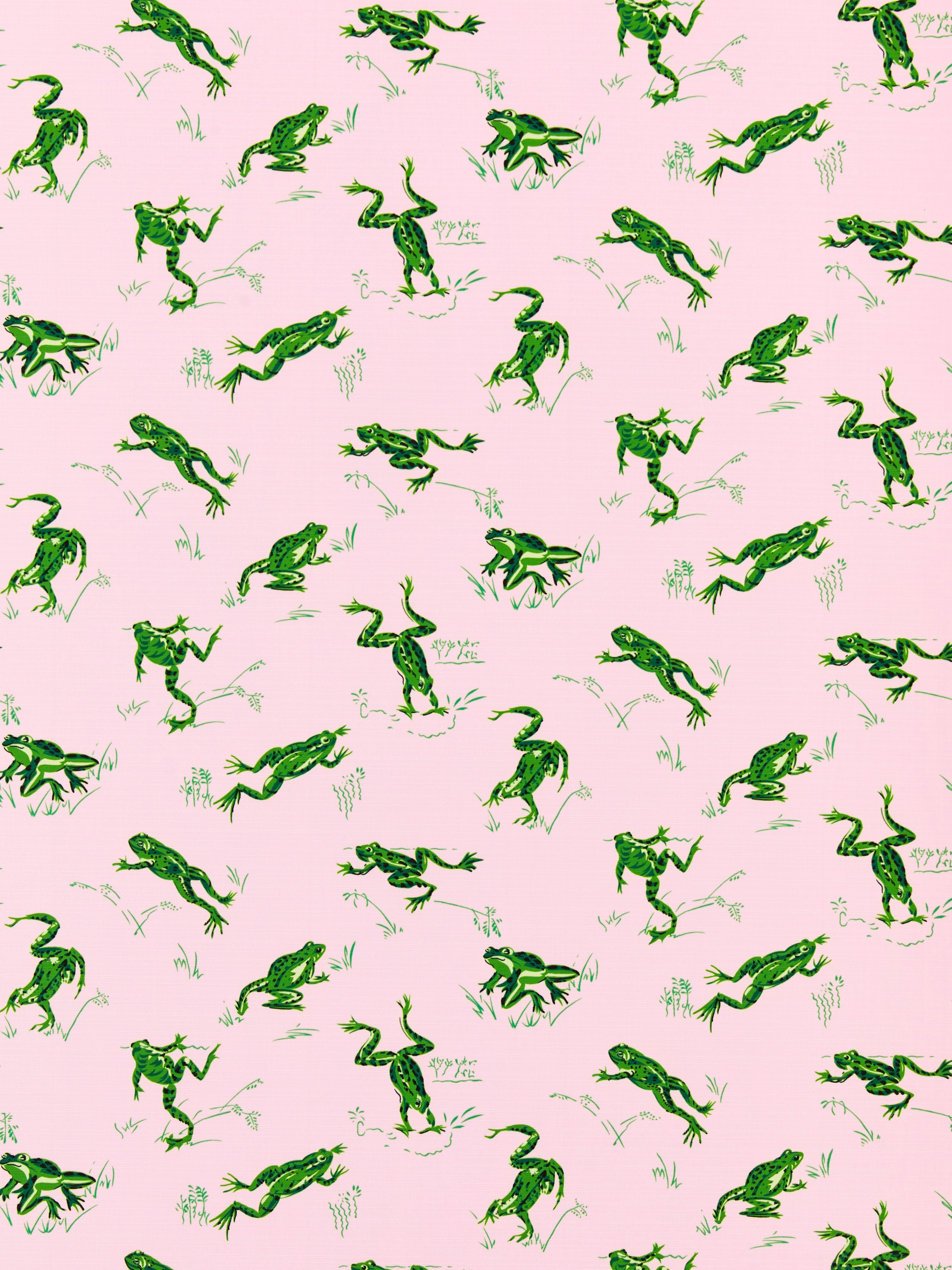 Calabasas County Outdoor fabric in camelia color - pattern number SC 000416426M - by Scalamandre in the Scalamandre Fabrics Book 1 collection