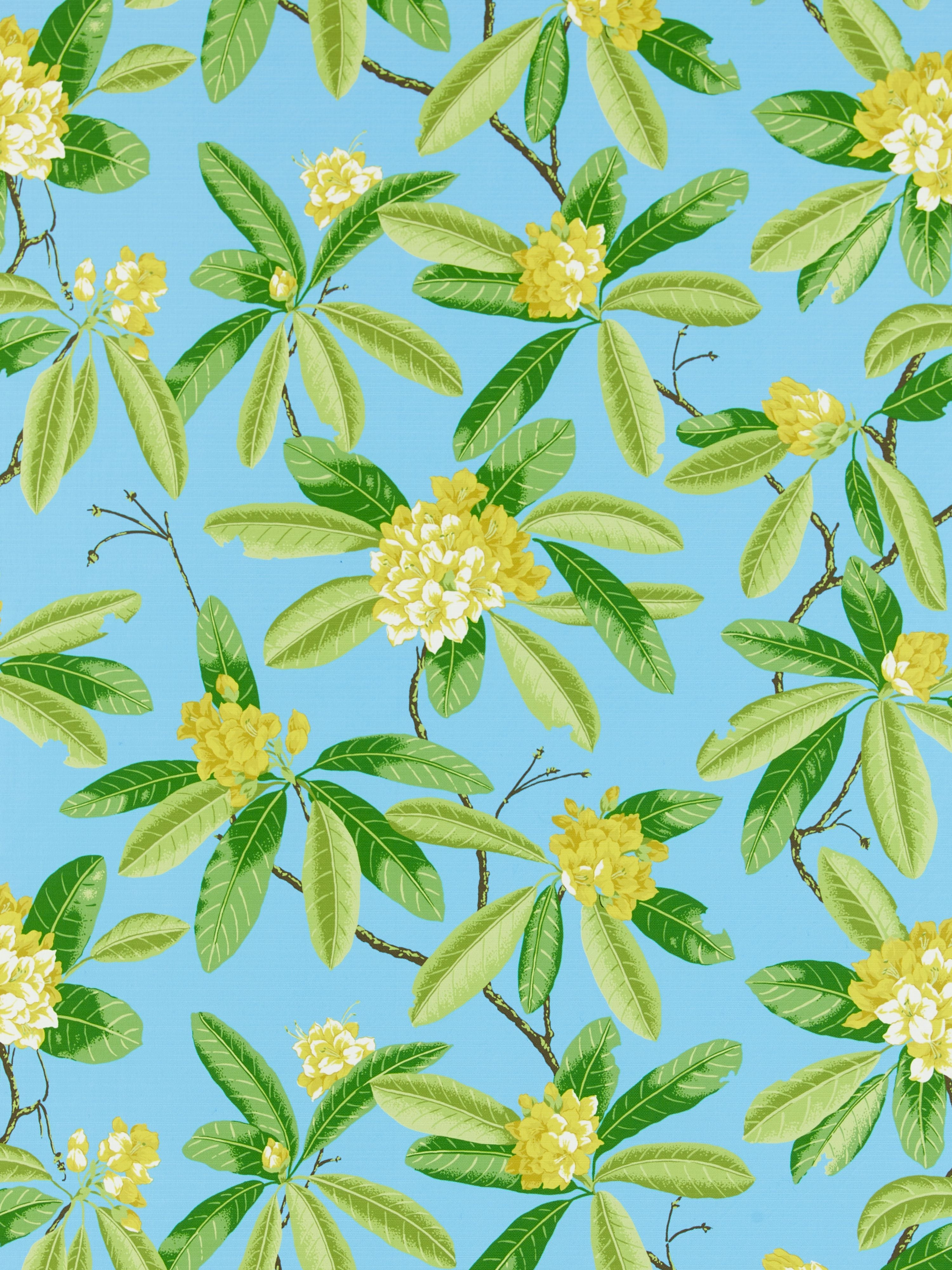 Rhododendron Outdoor fabric in carolina color - pattern number SC 000416454M - by Scalamandre in the Scalamandre Fabrics Book 1 collection