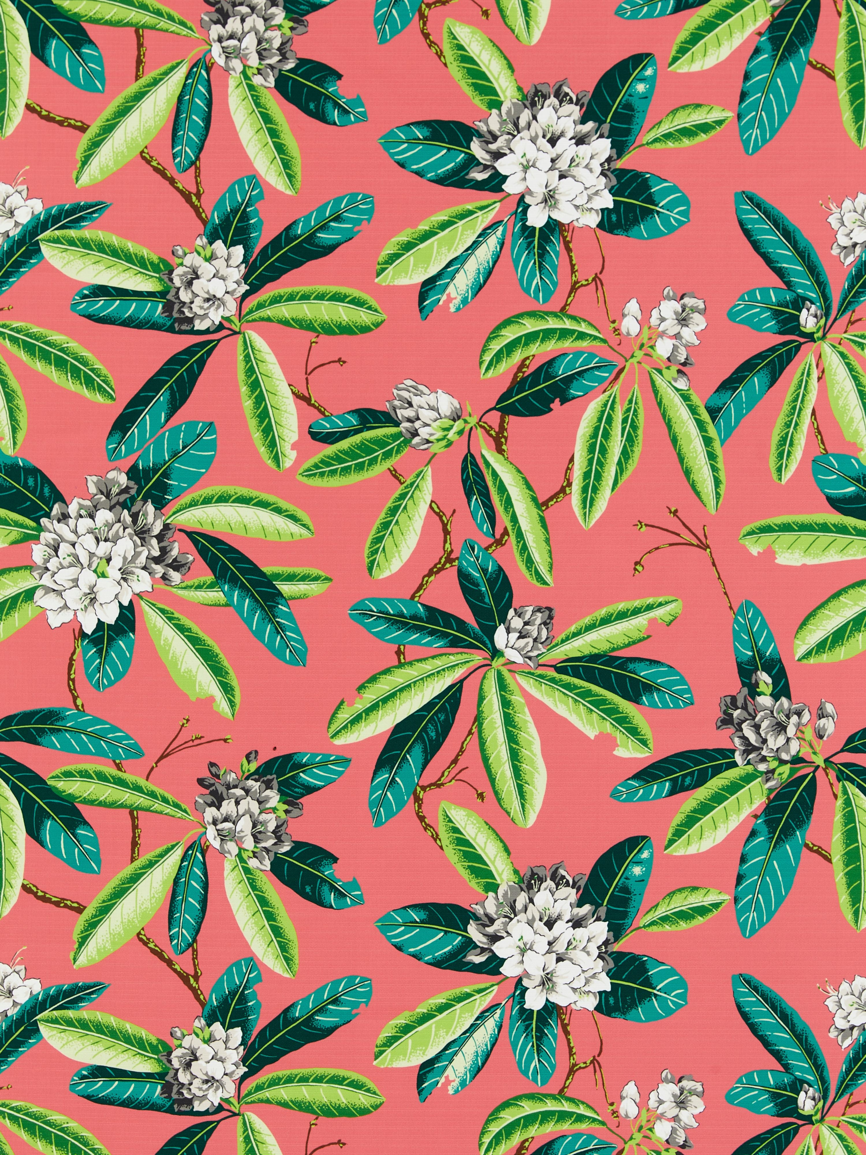 Rhododendron - Outdoor fabric in flamingo color - pattern number SC000516454M - by Scalamandre in the Scalamandre Fabrics Book 2 collection