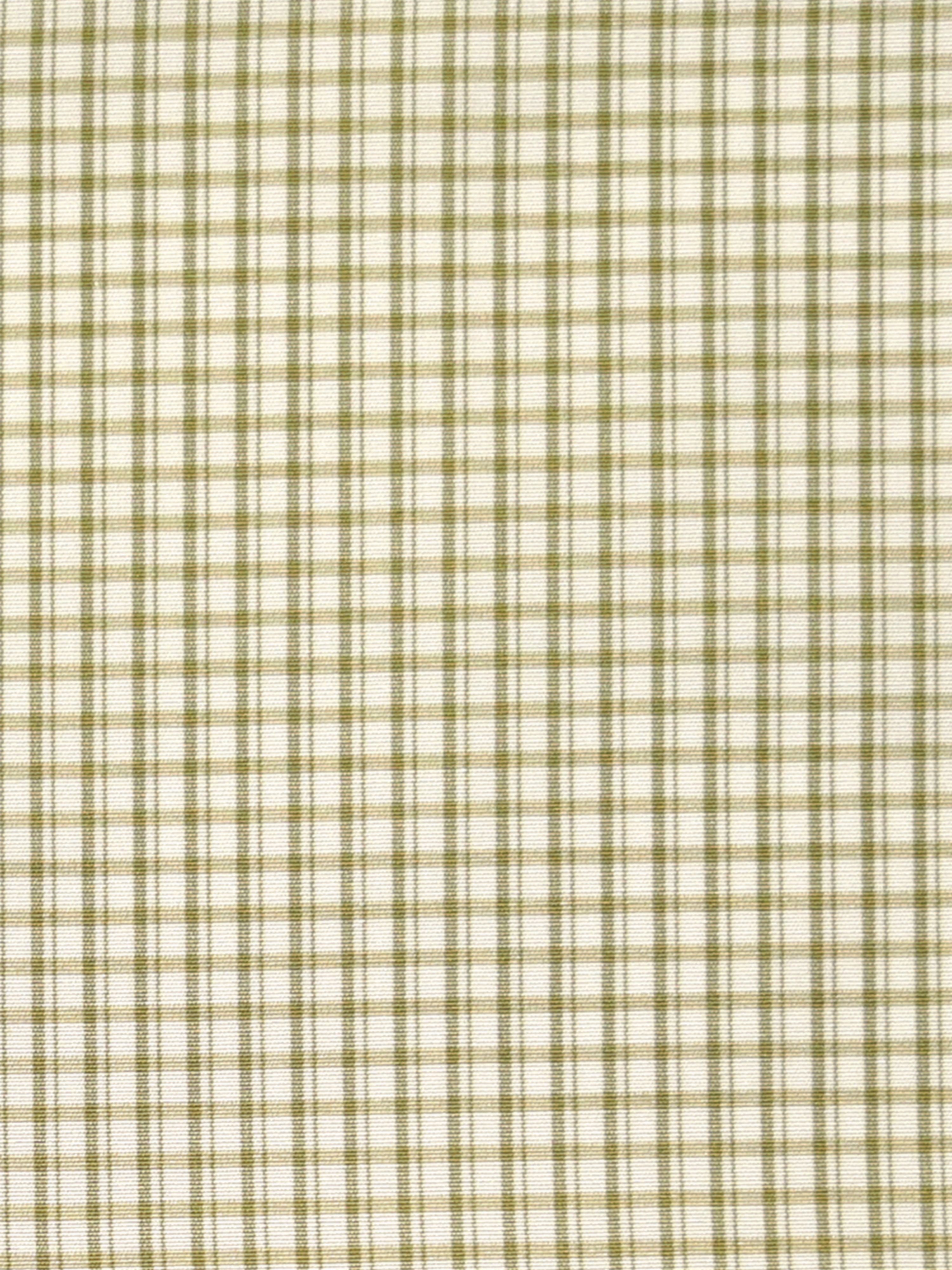 Astor Check fabric in leaf color - pattern number SC000526983 - by Scalamandre in the Scalamandre Fabrics Book 2 collection