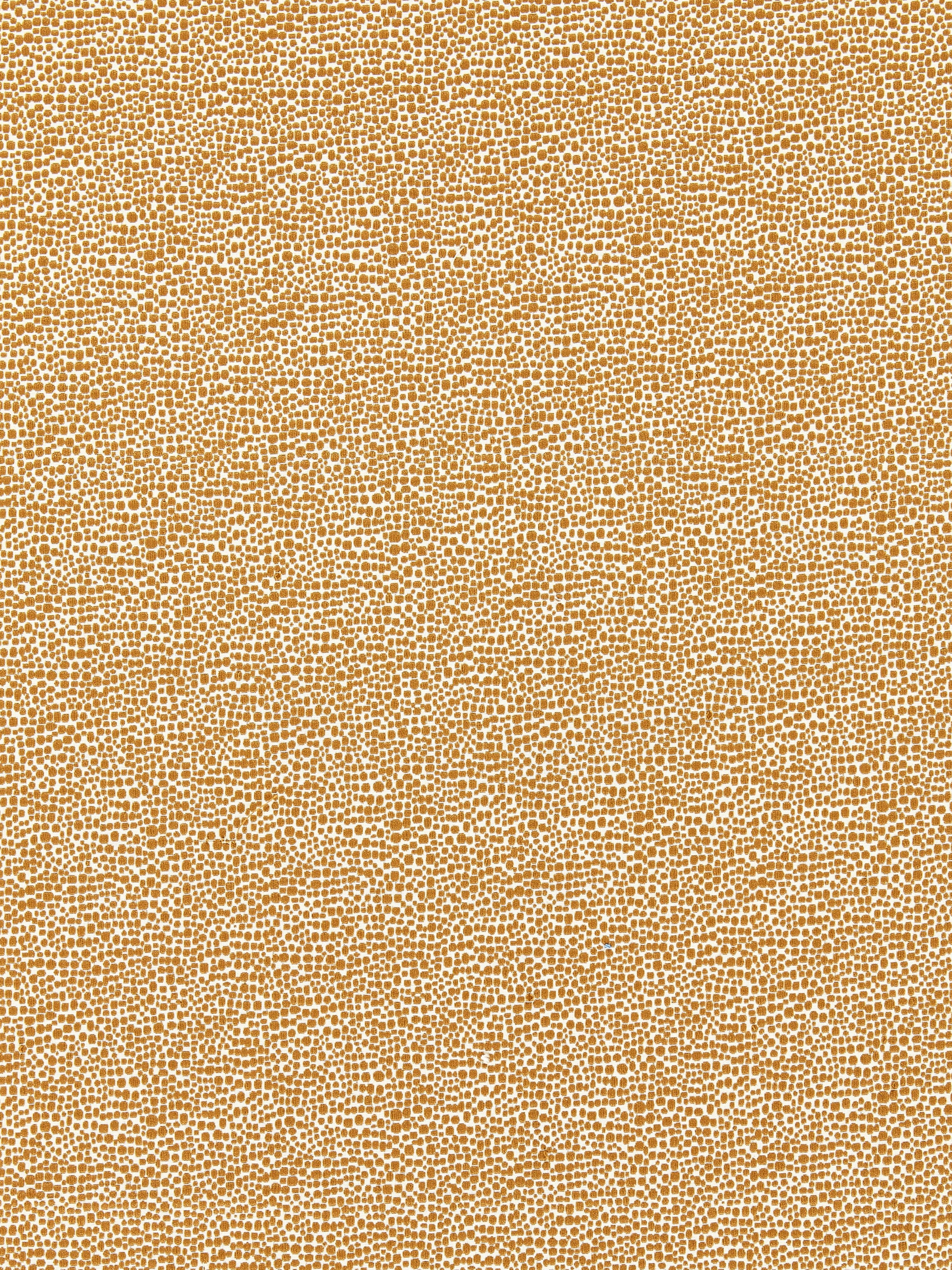 Shagreen fabric in beige color - pattern number SC 000626914M - by Scalamandre in the Scalamandre Dec 2024 collection
