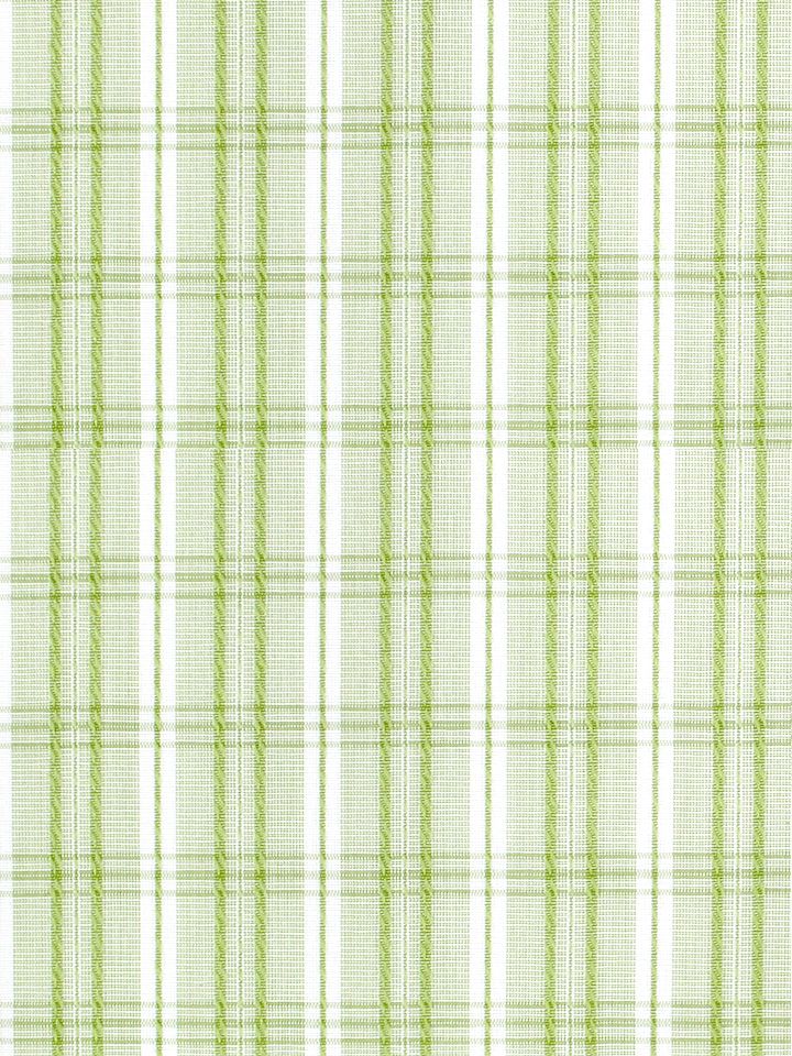 Check Please fabric in lime color - pattern number SC000636364 - by Scalamandre in the Scalamandre Fabrics Book 2 collection