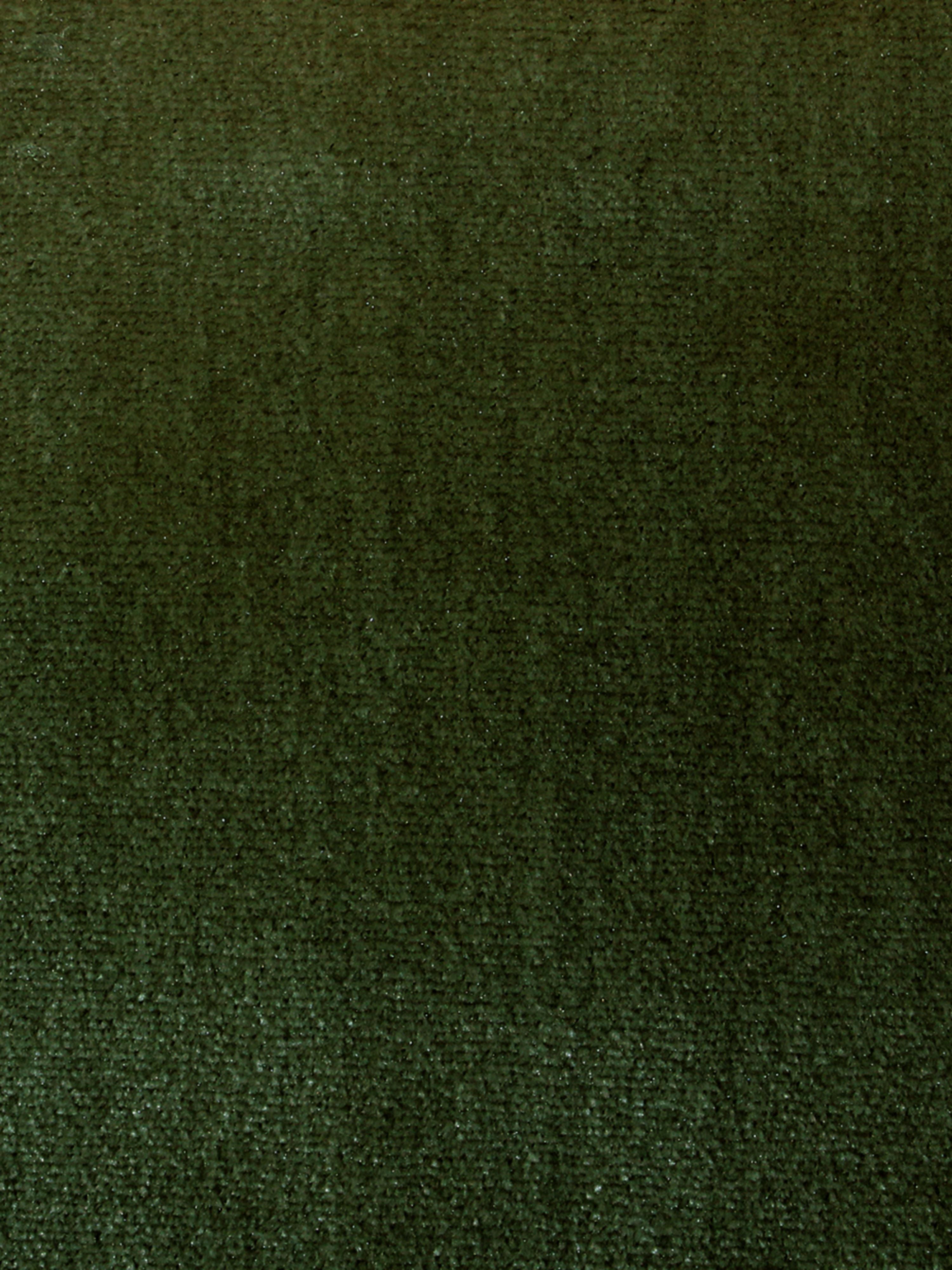 Tiberius fabric in pine color - pattern number SC000836381 - by Scalamandre in the Scalamandre Fabrics Book 2 collection