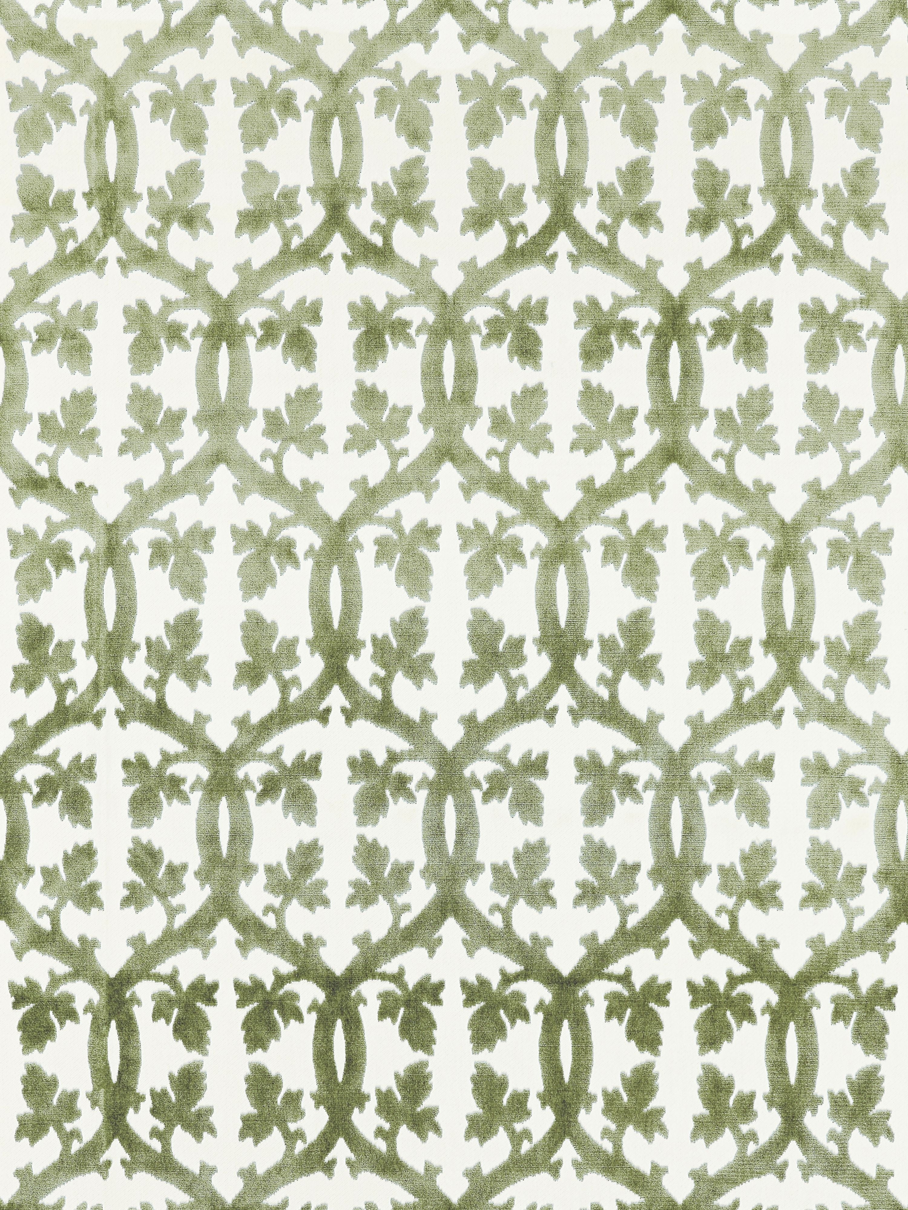 Falk Manor House fabric in green tea color - pattern number SC001626690M - by Scalamandre in the Scalamandre Fabrics Book 2 collection