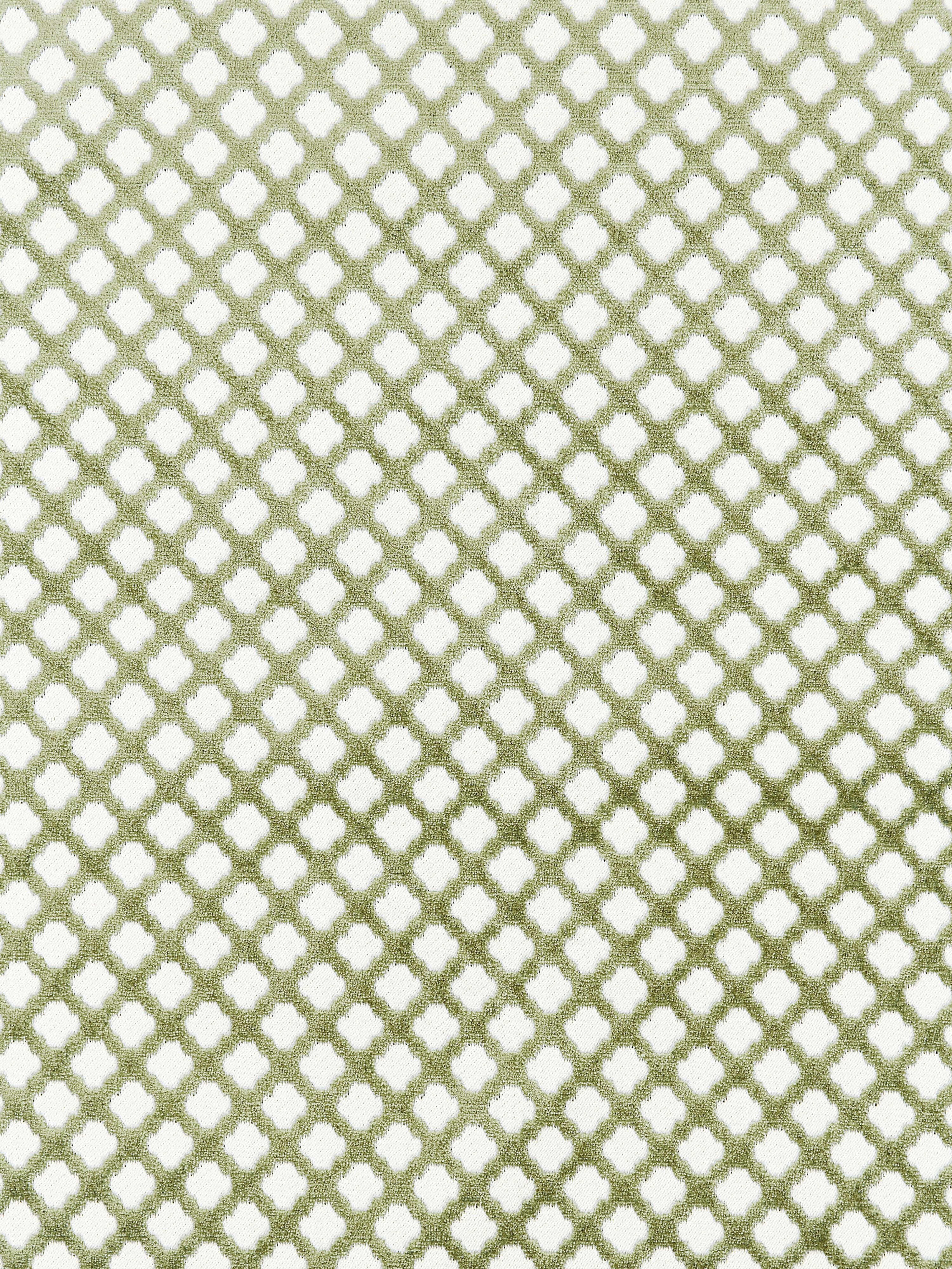 Pomfret fabric in green tea color - pattern number SC001726692M - by Scalamandre in the Scalamandre Fabrics Book 2 collection