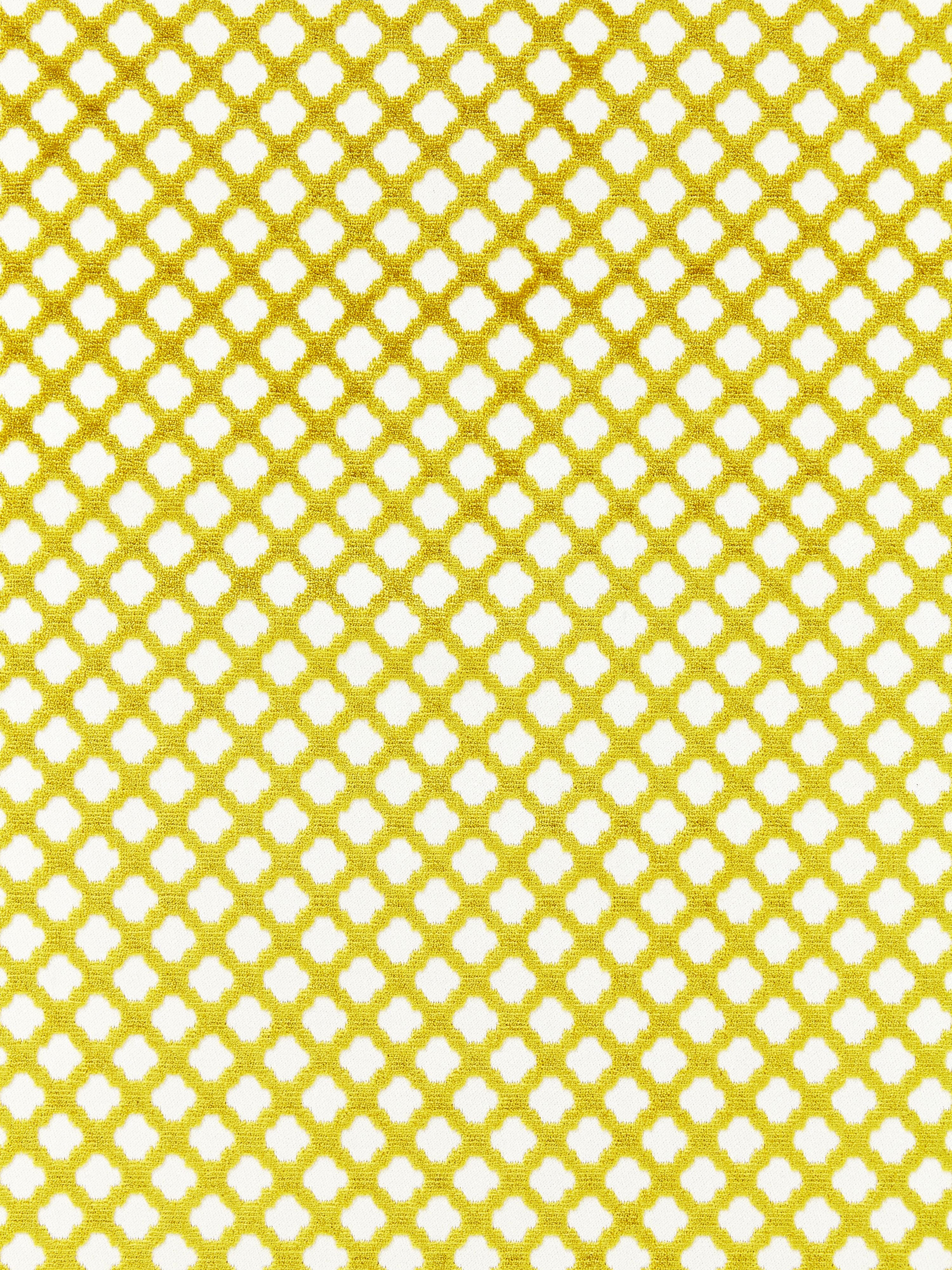Pomfret fabric in chartreuse color - pattern number SC002026692M - by Scalamandre in the Scalamandre Fabrics Book 2 collection