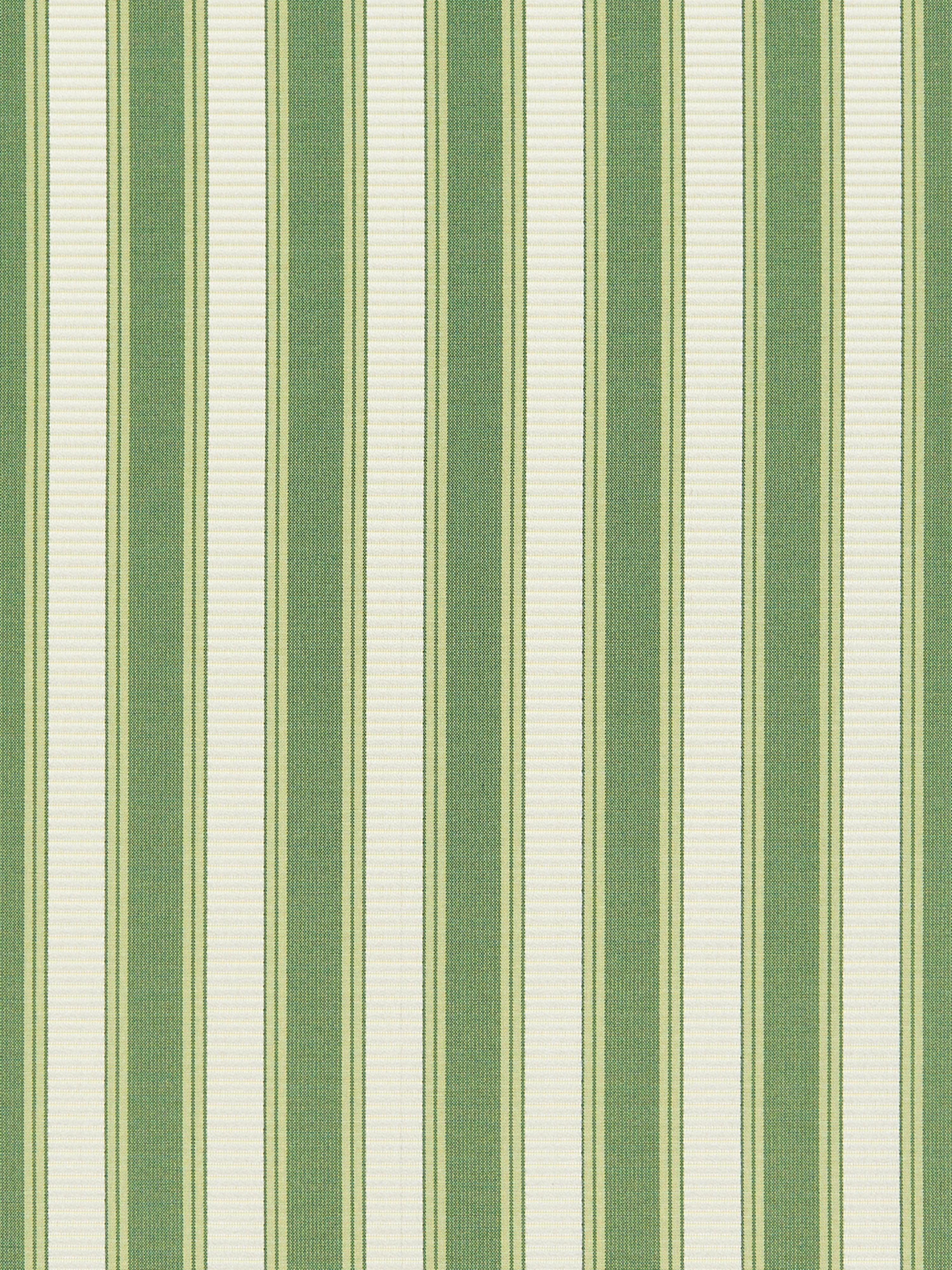 Shirred Stripe fabric in bonsai color - pattern number SC0030121M - by Scalamandre in the Scalamandre Fabrics Book 2 collection