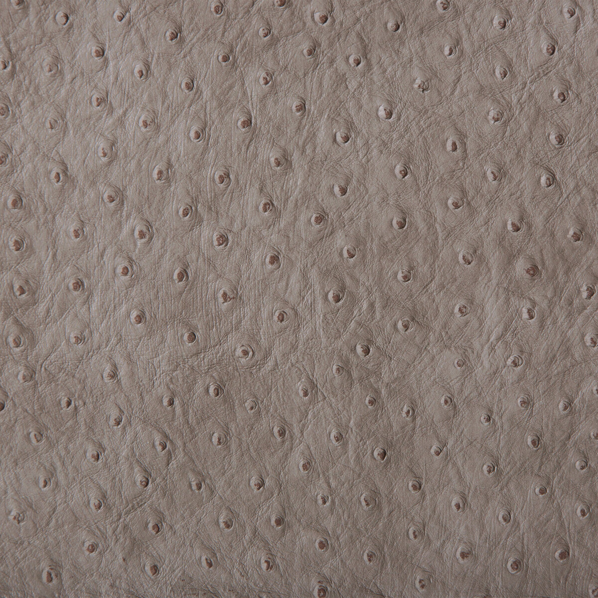 Kravet Design fabric in senna-11 color - pattern SENNA.11.0 - by Kravet Design