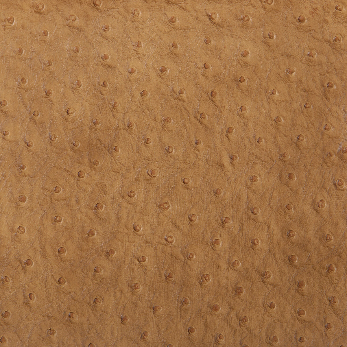 Kravet Design fabric in senna-3 color - pattern SENNA.3.0 - by Kravet Design