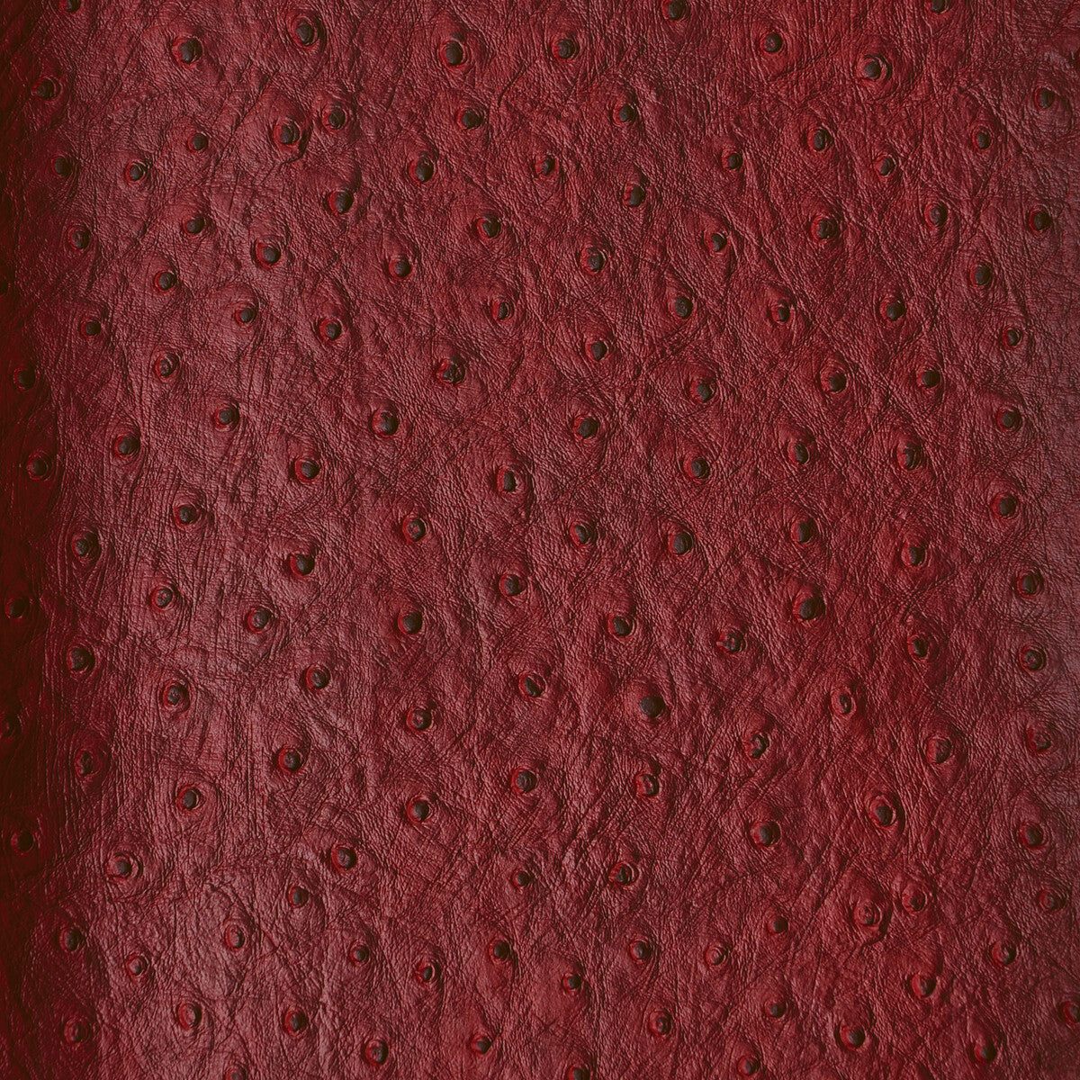 Kravet Design fabric in senna-909 color - pattern SENNA.909.0 - by Kravet Design