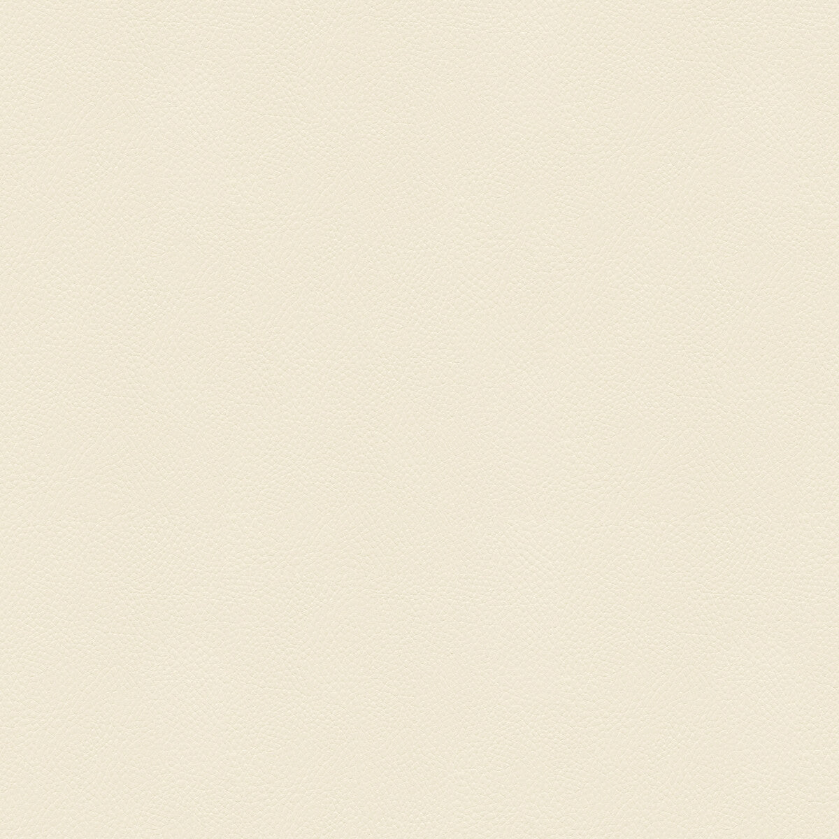Side Kick fabric in blanc color - pattern SIDE KICK.1.0 - by Kravet Couture
