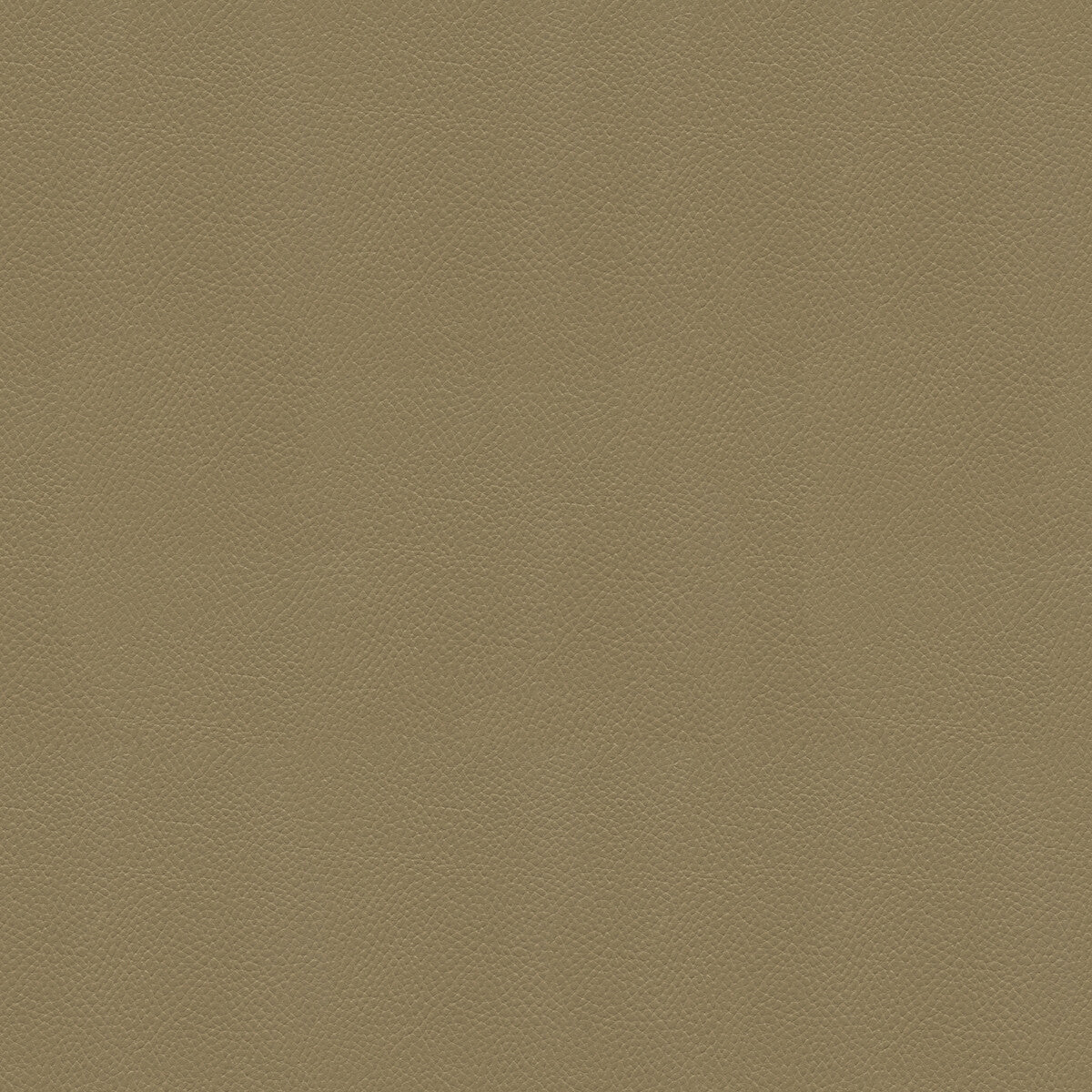 Side Kick fabric in taupe color - pattern SIDE KICK.106.0 - by Kravet Couture