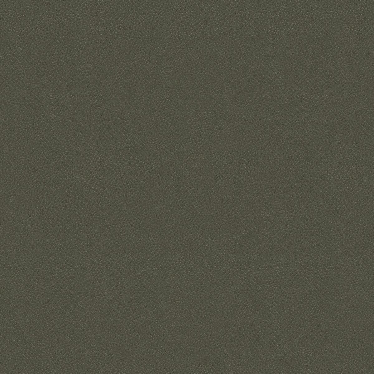Side Kick fabric in pewter color - pattern SIDE KICK.11.0 - by Kravet Couture