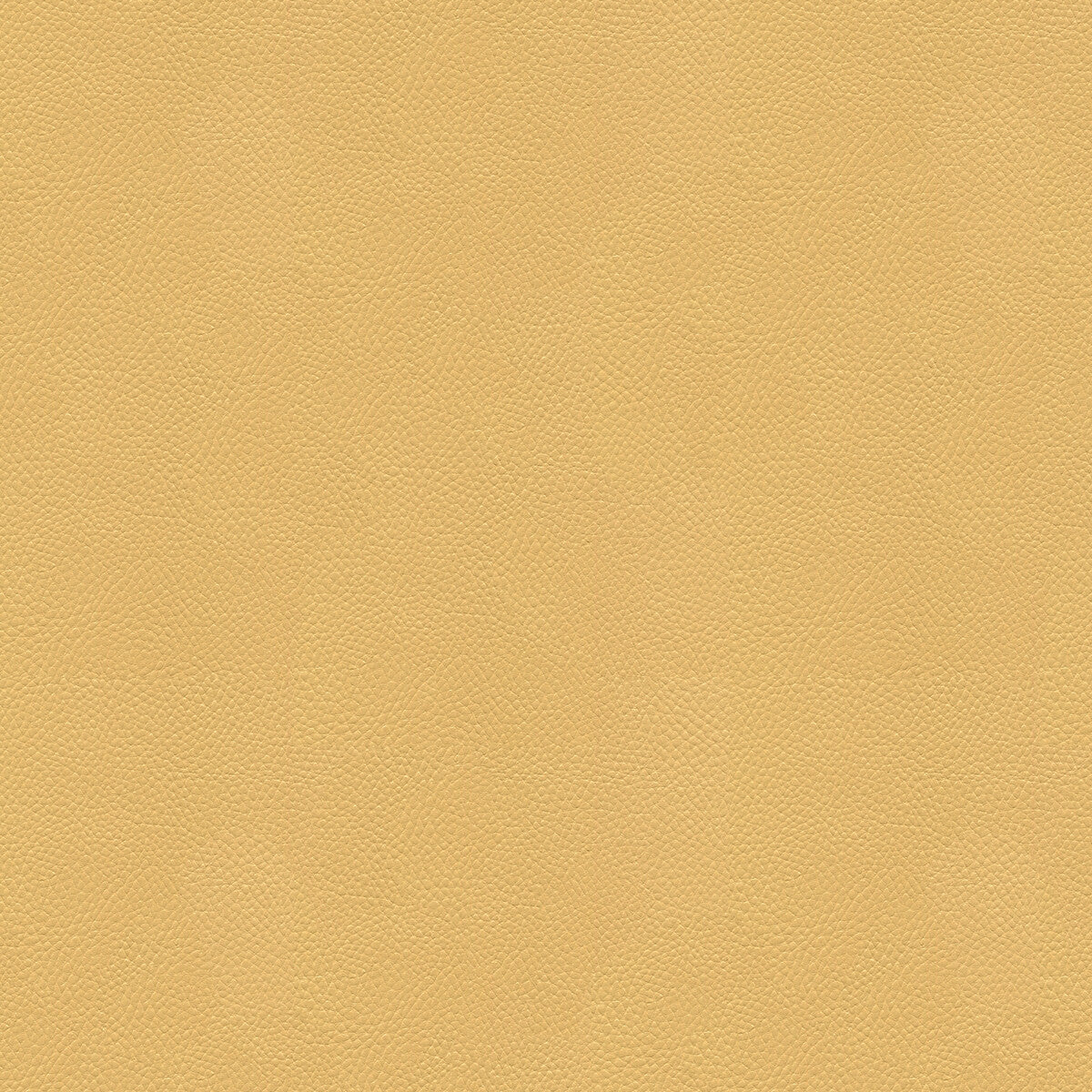 Side Kick fabric in croissant color - pattern SIDE KICK.16.0 - by Kravet Couture