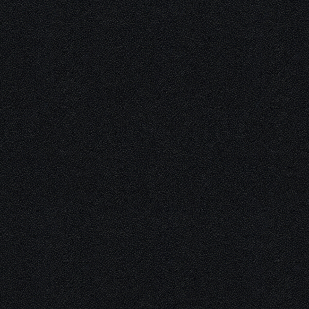 Side Kick fabric in raven color - pattern SIDE KICK.8.0 - by Kravet Couture