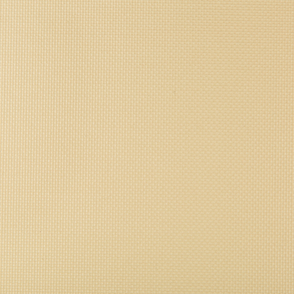 Sidney fabric in bubbly color - pattern SIDNEY.114.0 - by Kravet Contract