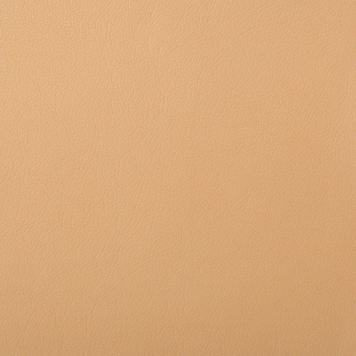 Kravet Design fabric in solaris-16 color - pattern SOLARIS.16.0 - by Kravet Design