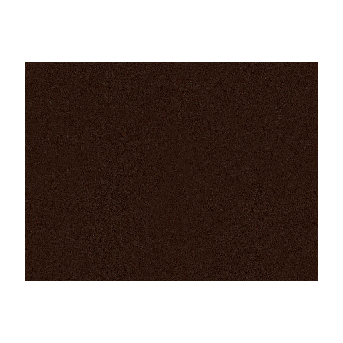 Sol fabric in truffle color - pattern SOL.66.0 - by Kravet Contract