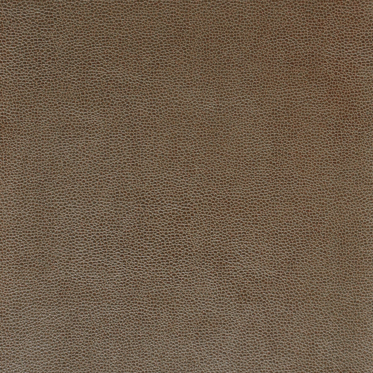 Kravet Design fabric in sparta-106 color - pattern SPARTA.106.0 - by Kravet Design