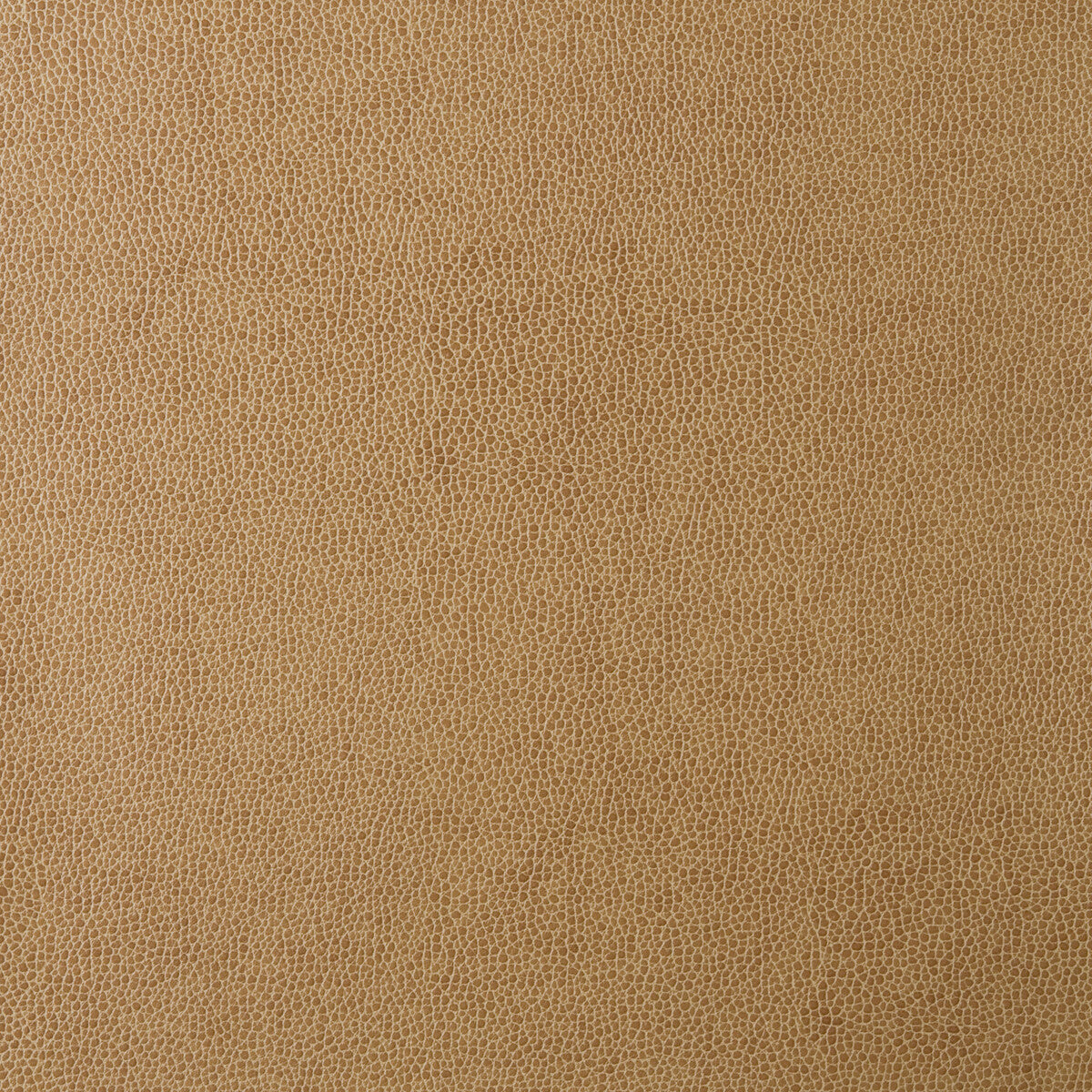 Kravet Design fabric in sparta-16 color - pattern SPARTA.16.0 - by Kravet Design