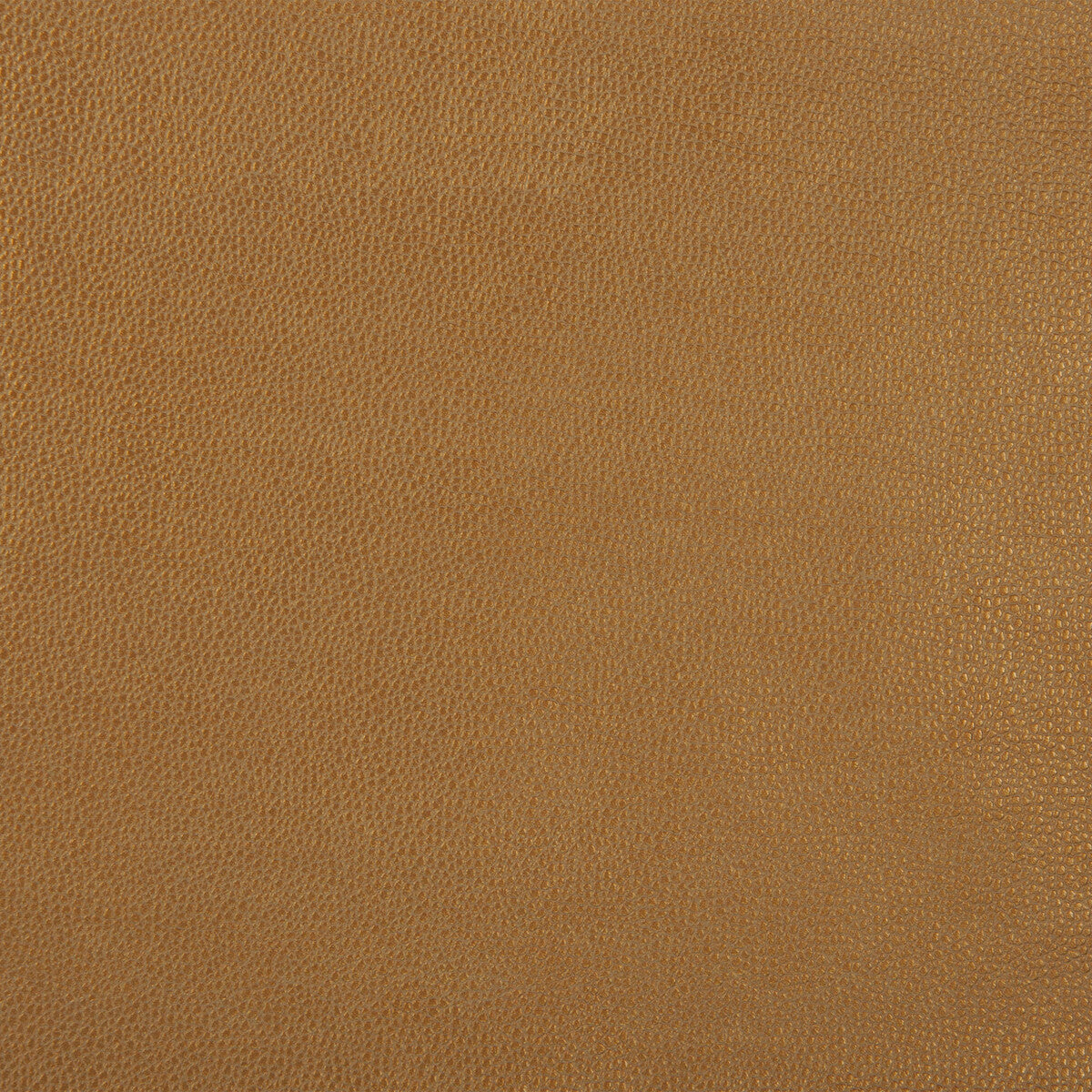 Kravet Design fabric in sparta-4 color - pattern SPARTA.4.0 - by Kravet Design