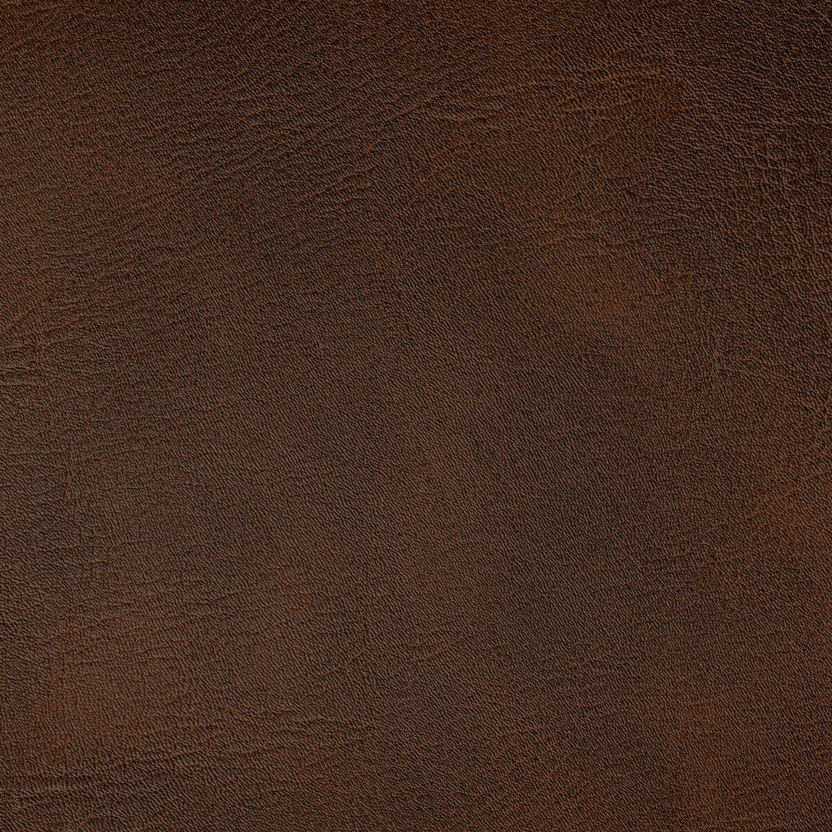 Spur fabric in bronco color - pattern SPUR.6.0 - by Kravet Contract in the Foundations / Value collection