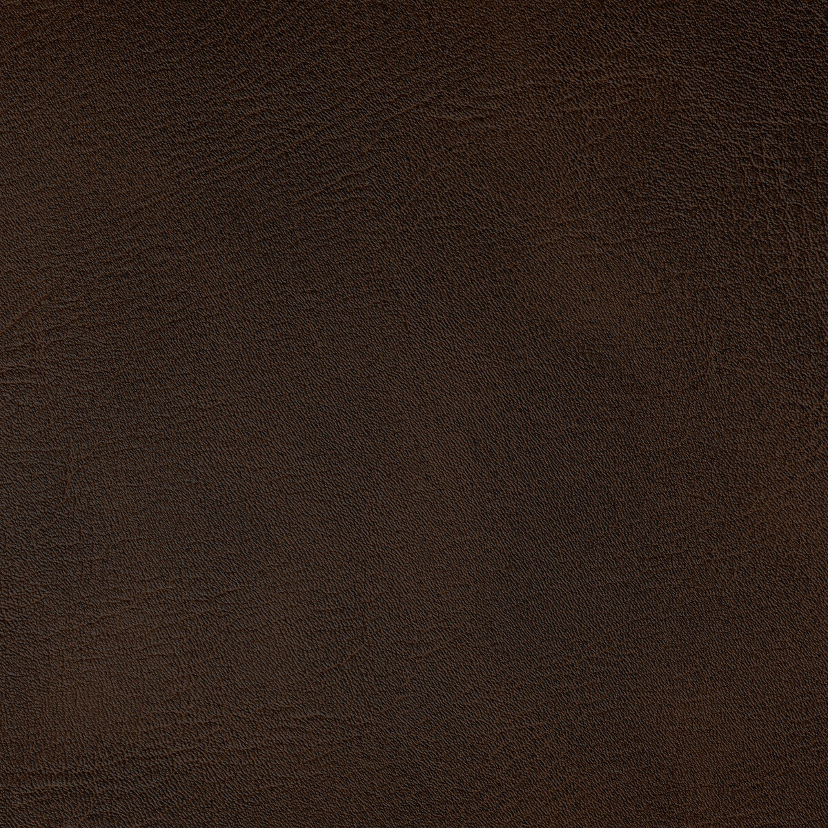Spur fabric in java color - pattern SPUR.6161.0 - by Kravet Contract in the Foundations / Value collection