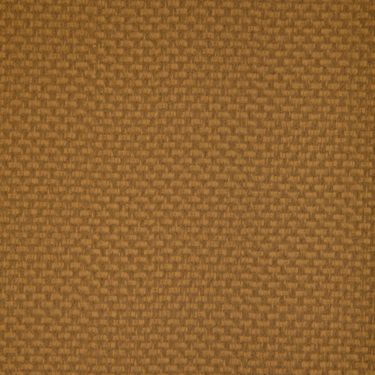 Stein fabric in marigold color - pattern STEIN.404.0 - by Kravet Contract