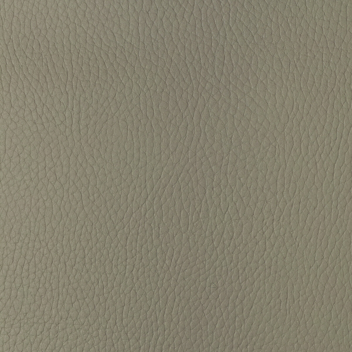 Kravet Design fabric in sugarmaple-116 color - pattern SUGARMAPLE.116.0 - by Kravet Design