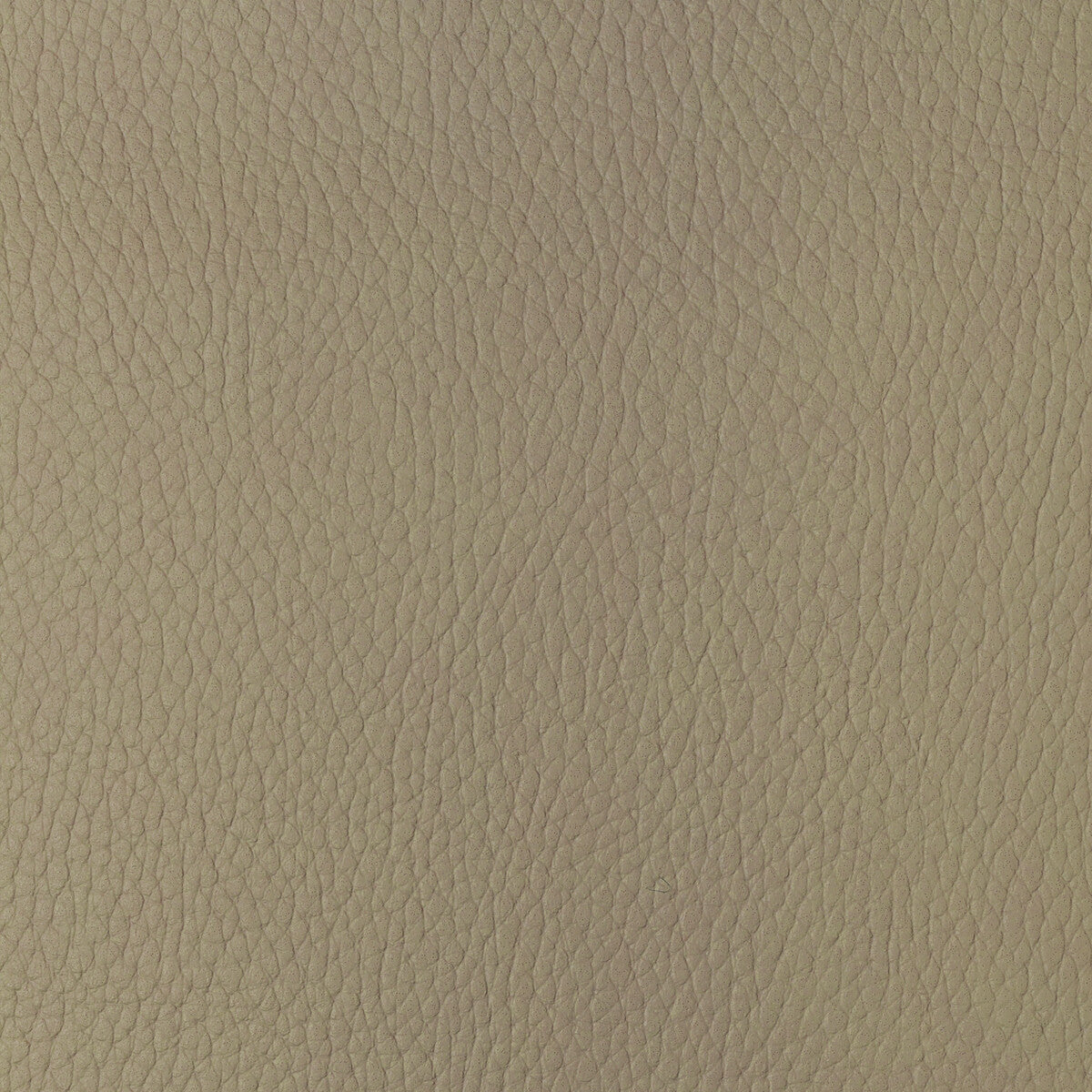 Kravet Design fabric in sugarmaple-16 color - pattern SUGARMAPLE.16.0 - by Kravet Design