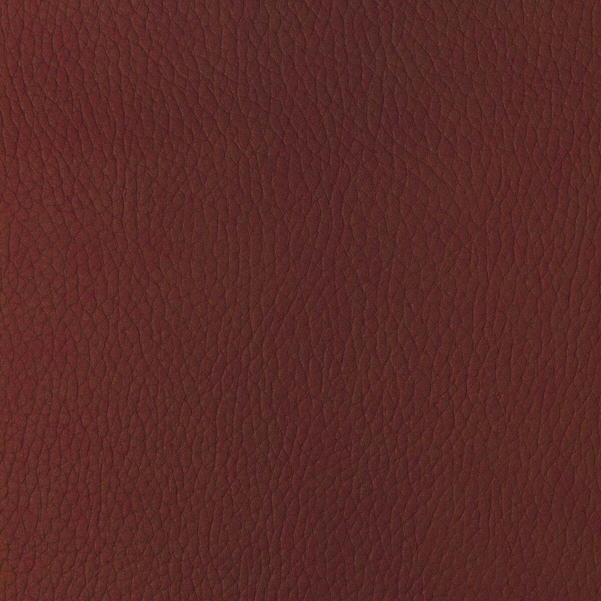 Kravet Design fabric in sugarmaple-19 color - pattern SUGARMAPLE.19.0 - by Kravet Design
