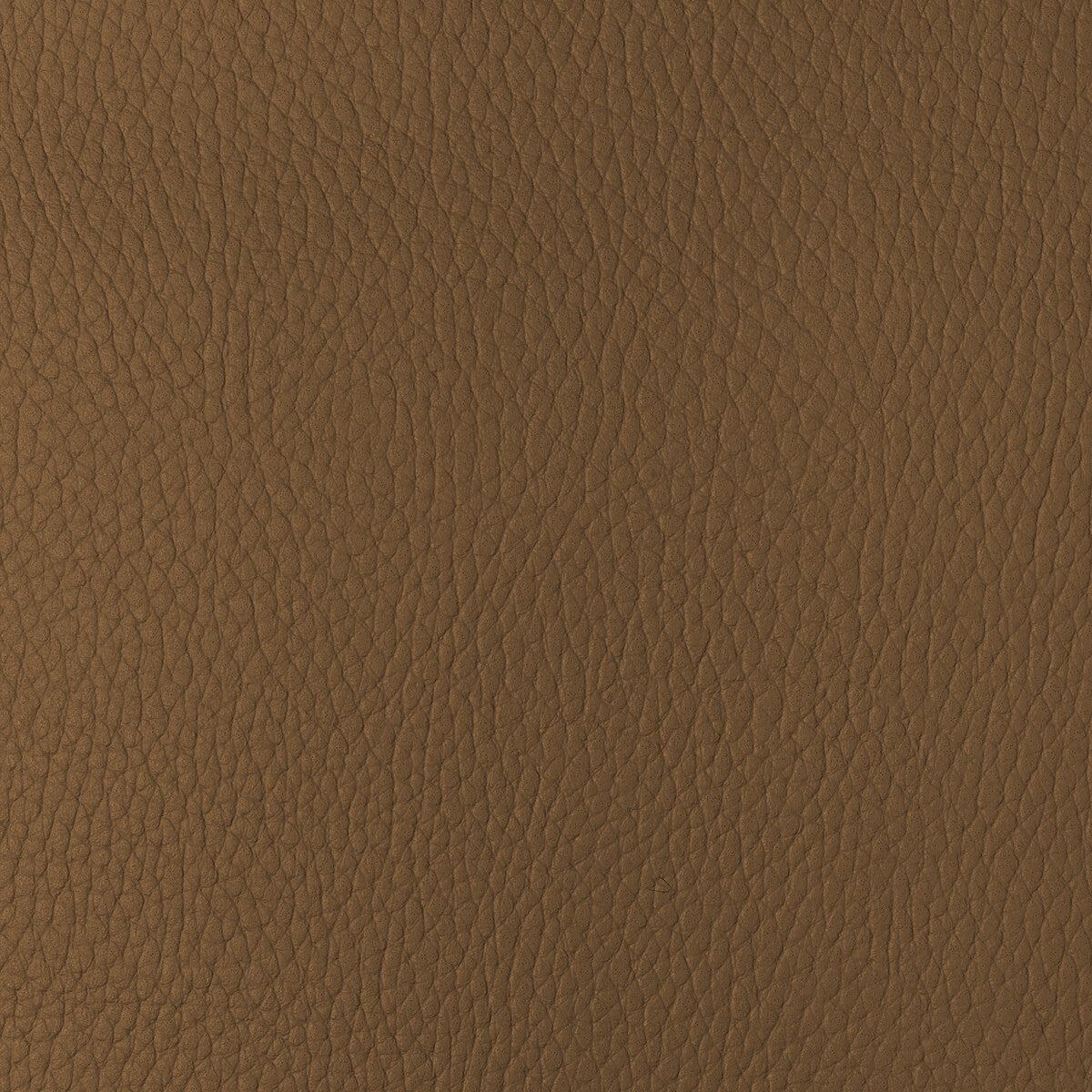 Kravet Design fabric in sugarmaple-4 color - pattern SUGARMAPLE.4.0 - by Kravet Design