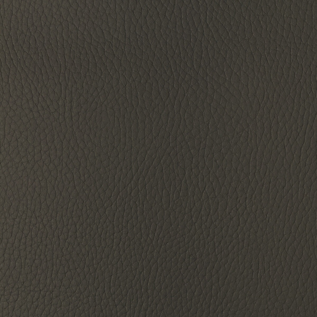 Kravet Design fabric in sugarmaple-6 color - pattern SUGARMAPLE.6.0 - by Kravet Design