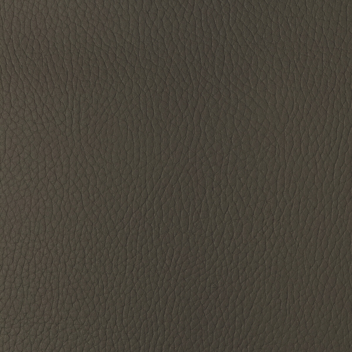 Kravet Design fabric in sugarmaple-616 color - pattern SUGARMAPLE.616.0 - by Kravet Design