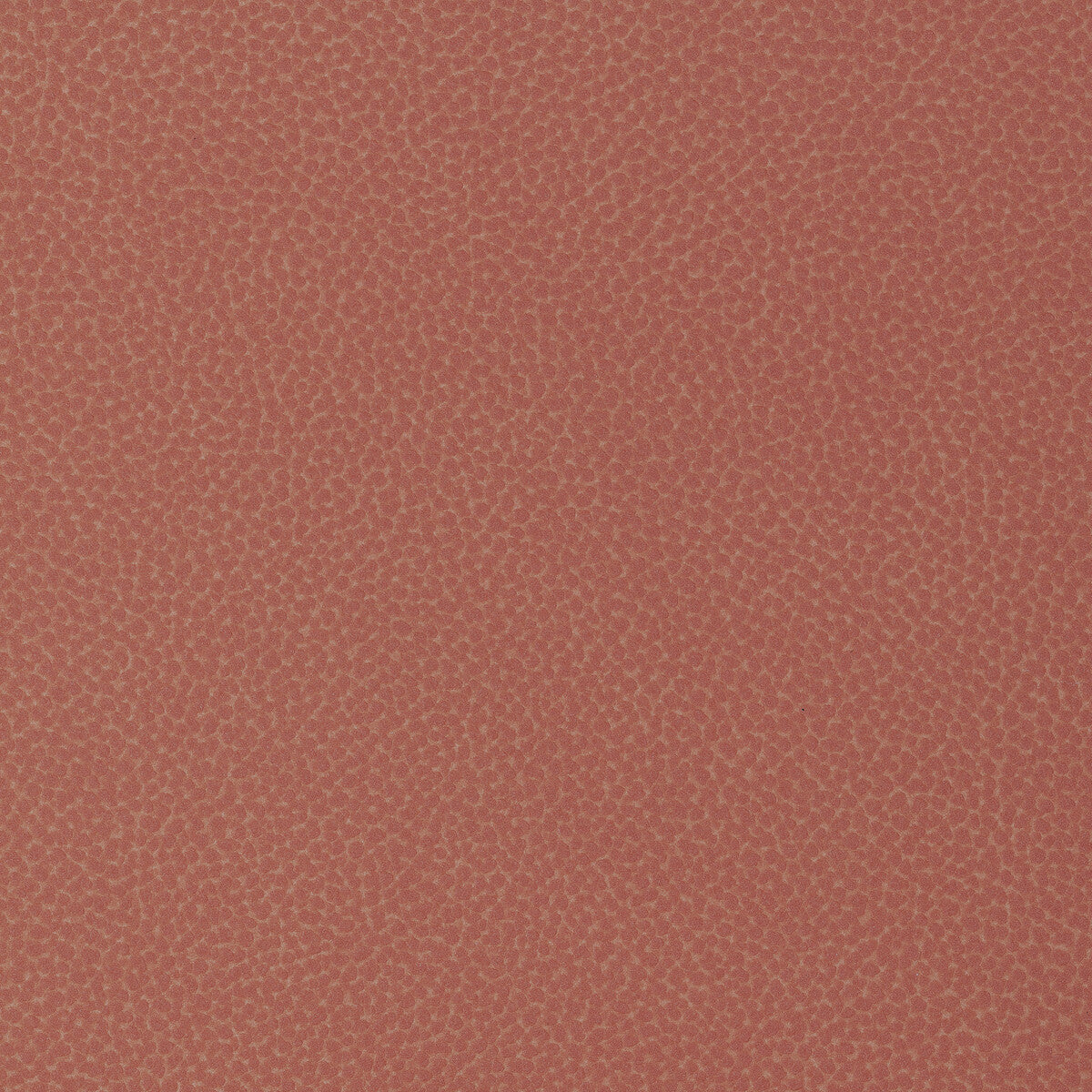 Kravet Design fabric in sweetgum-112 color - pattern SWEETGUM.112.0 - by Kravet Design