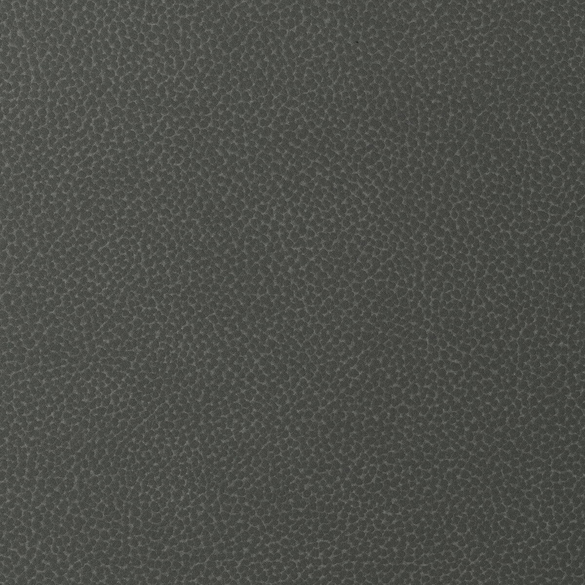 Kravet Design fabric in sweetgum-2121 color - pattern SWEETGUM.2121.0 - by Kravet Design