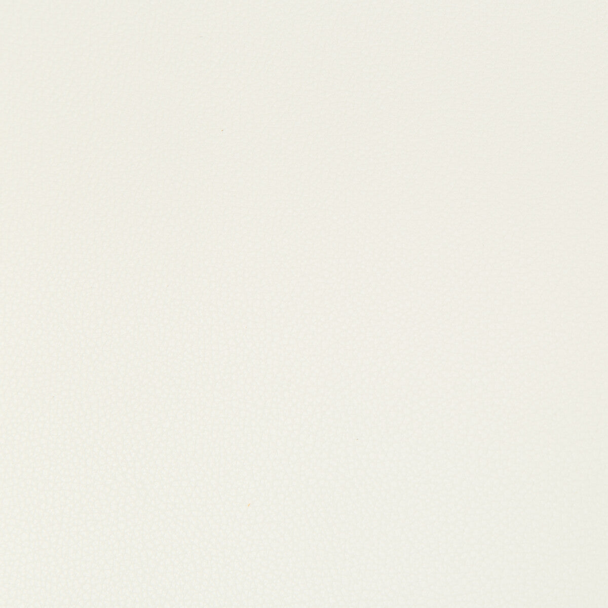 Syrus fabric in gesso color - pattern SYRUS.1.0 - by Kravet Contract