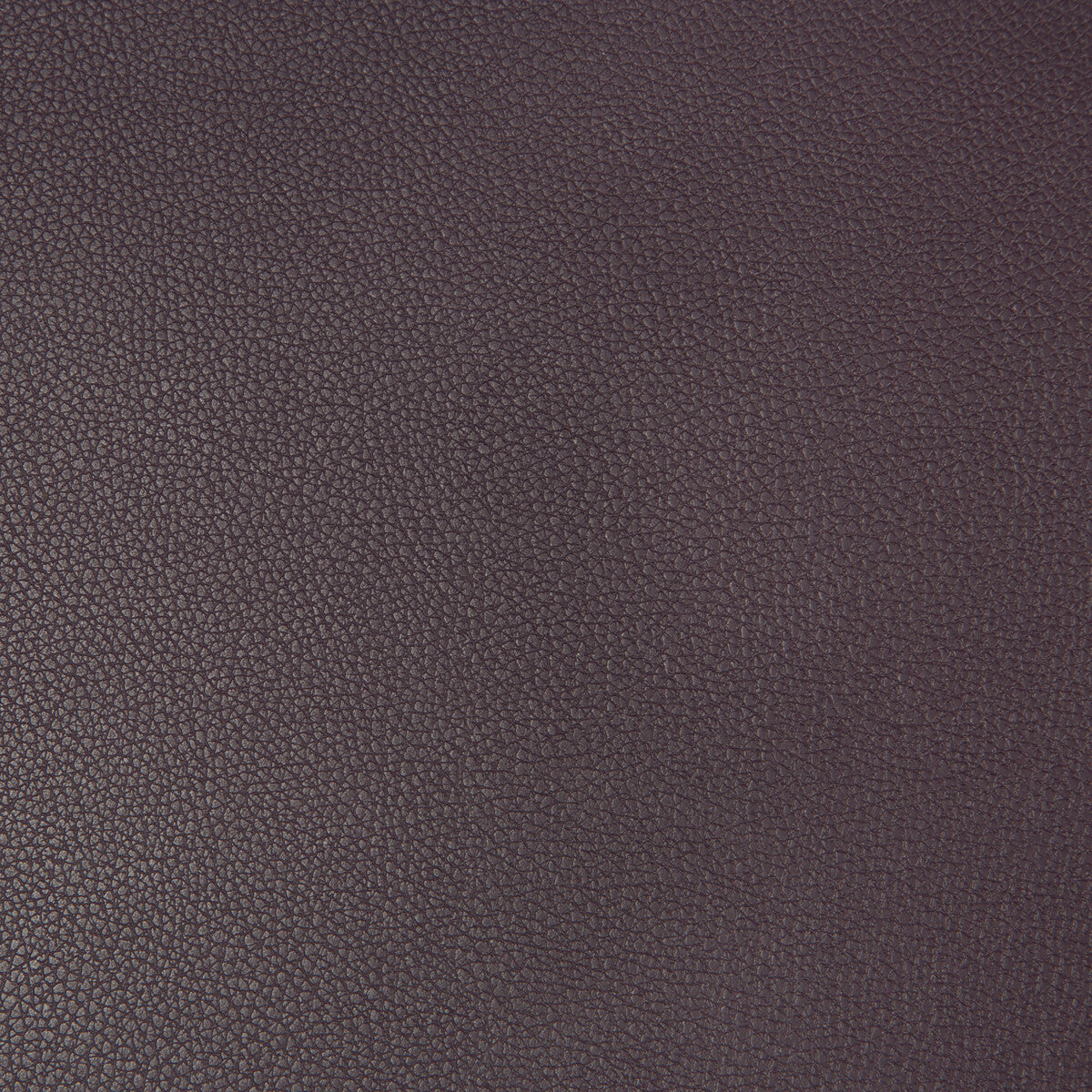 Syrus fabric in eggplant color - pattern SYRUS.1019.0 - by Kravet Contract