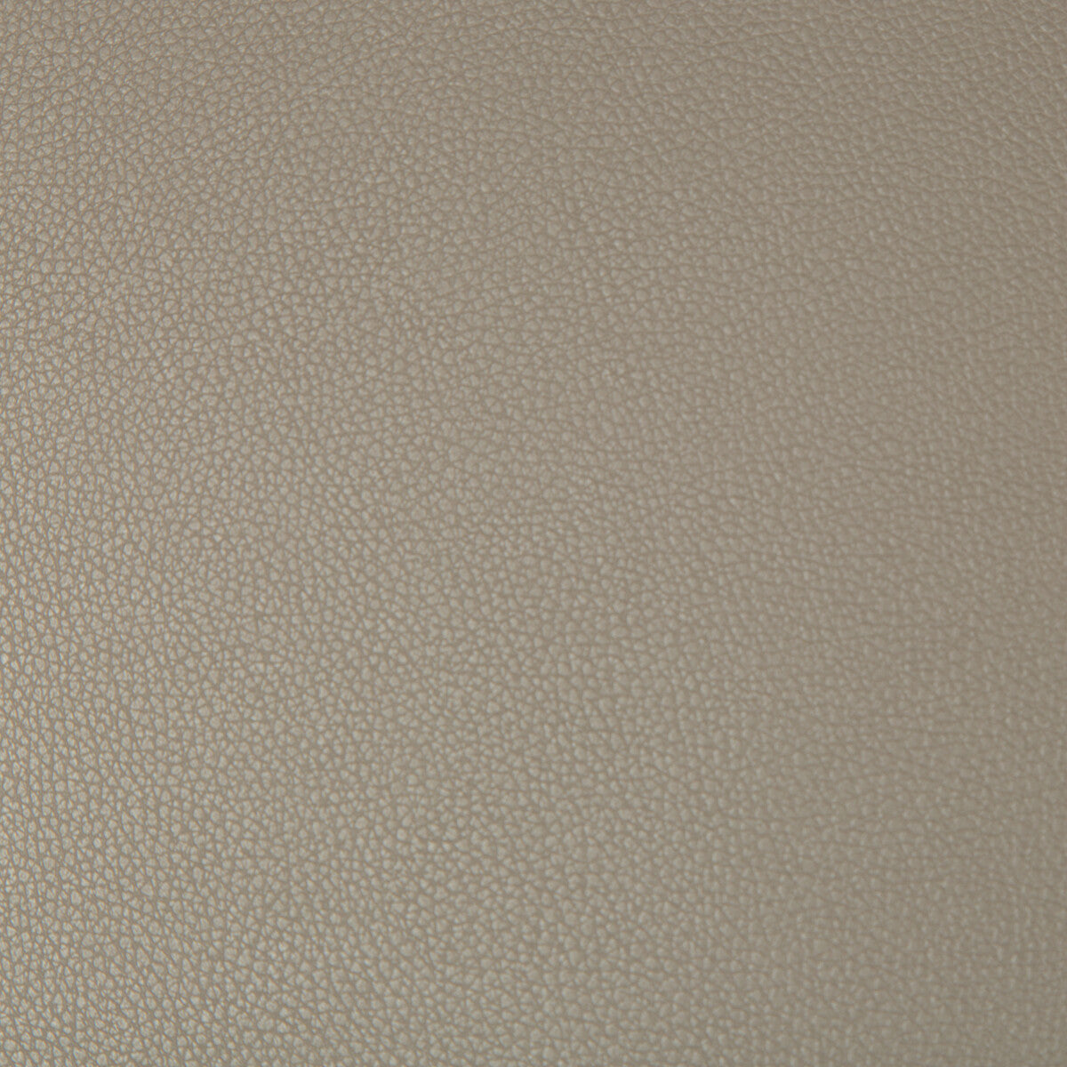 Syrus fabric in driftwood color - pattern SYRUS.106.0 - by Kravet Contract