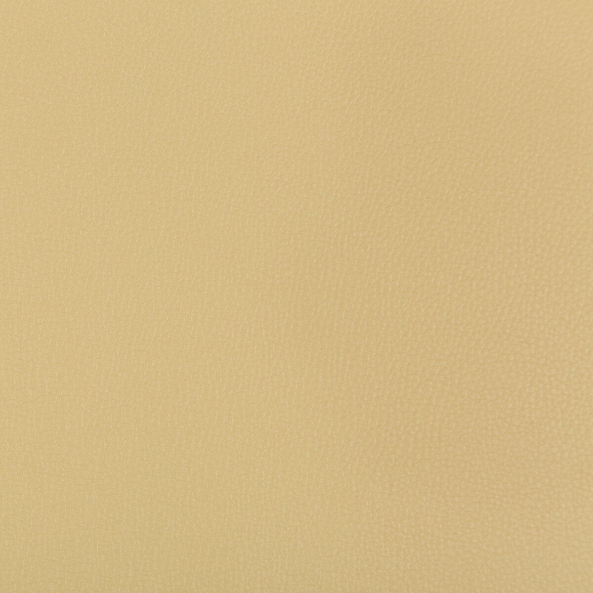 Syrus fabric in sesame color - pattern SYRUS.1416.0 - by Kravet Contract
