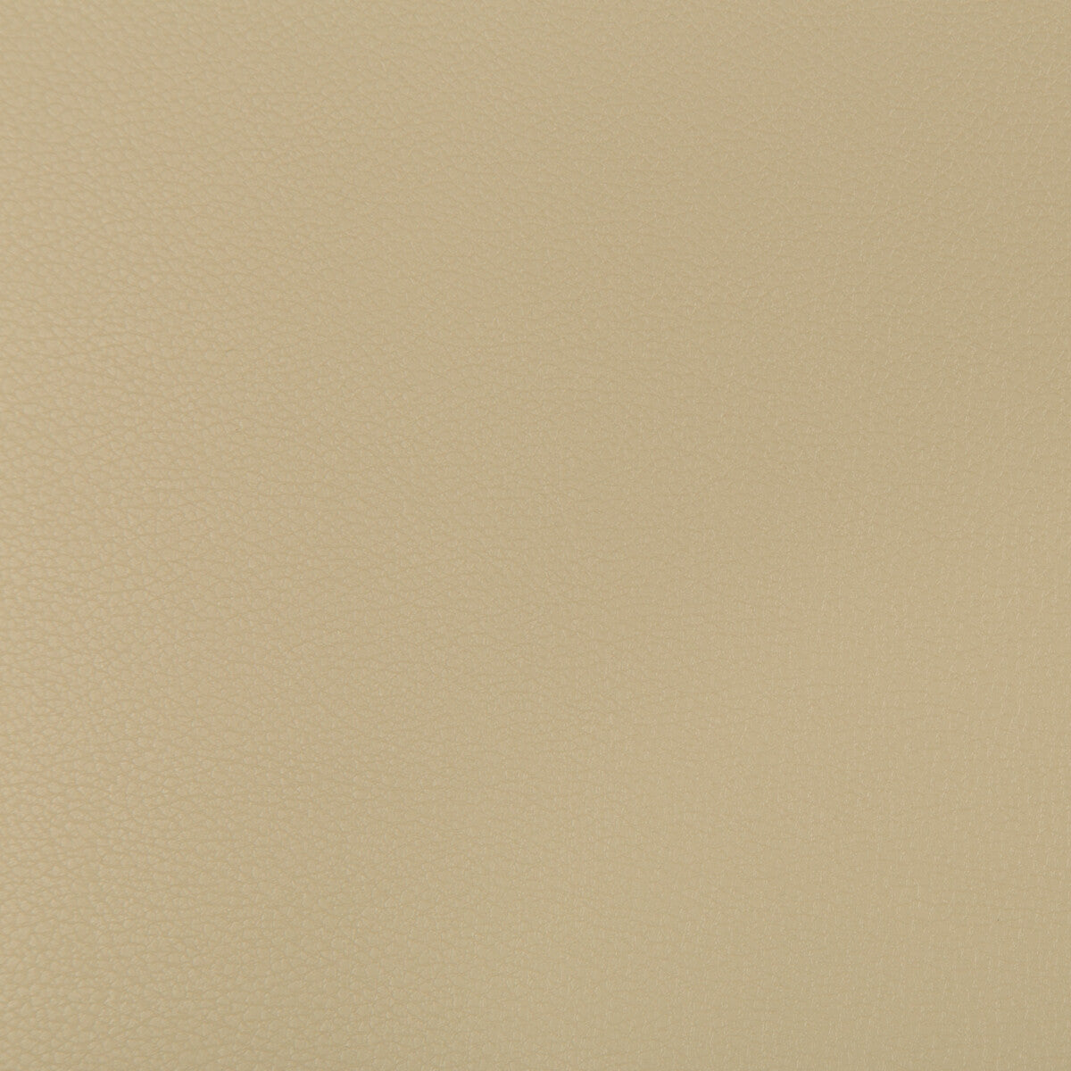 Syrus fabric in stucco color - pattern SYRUS.1616.0 - by Kravet Contract