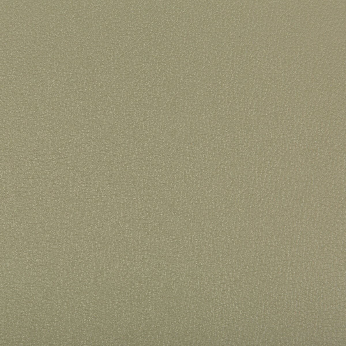 Syrus fabric in sage color - pattern SYRUS.311.0 - by Kravet Contract