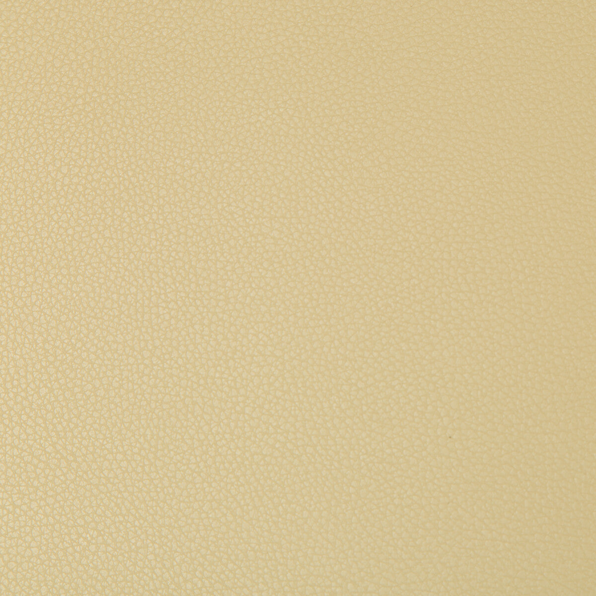 Syrus fabric in flax color - pattern SYRUS.416.0 - by Kravet Contract