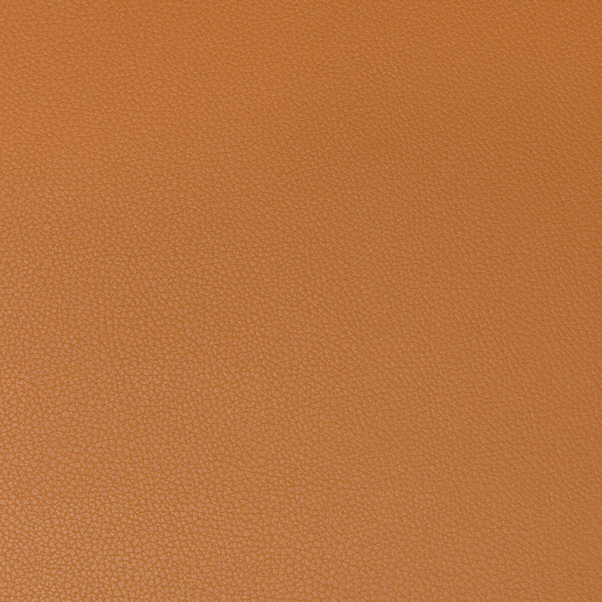 Syrus fabric in cognac color - pattern SYRUS.46.0 - by Kravet Contract