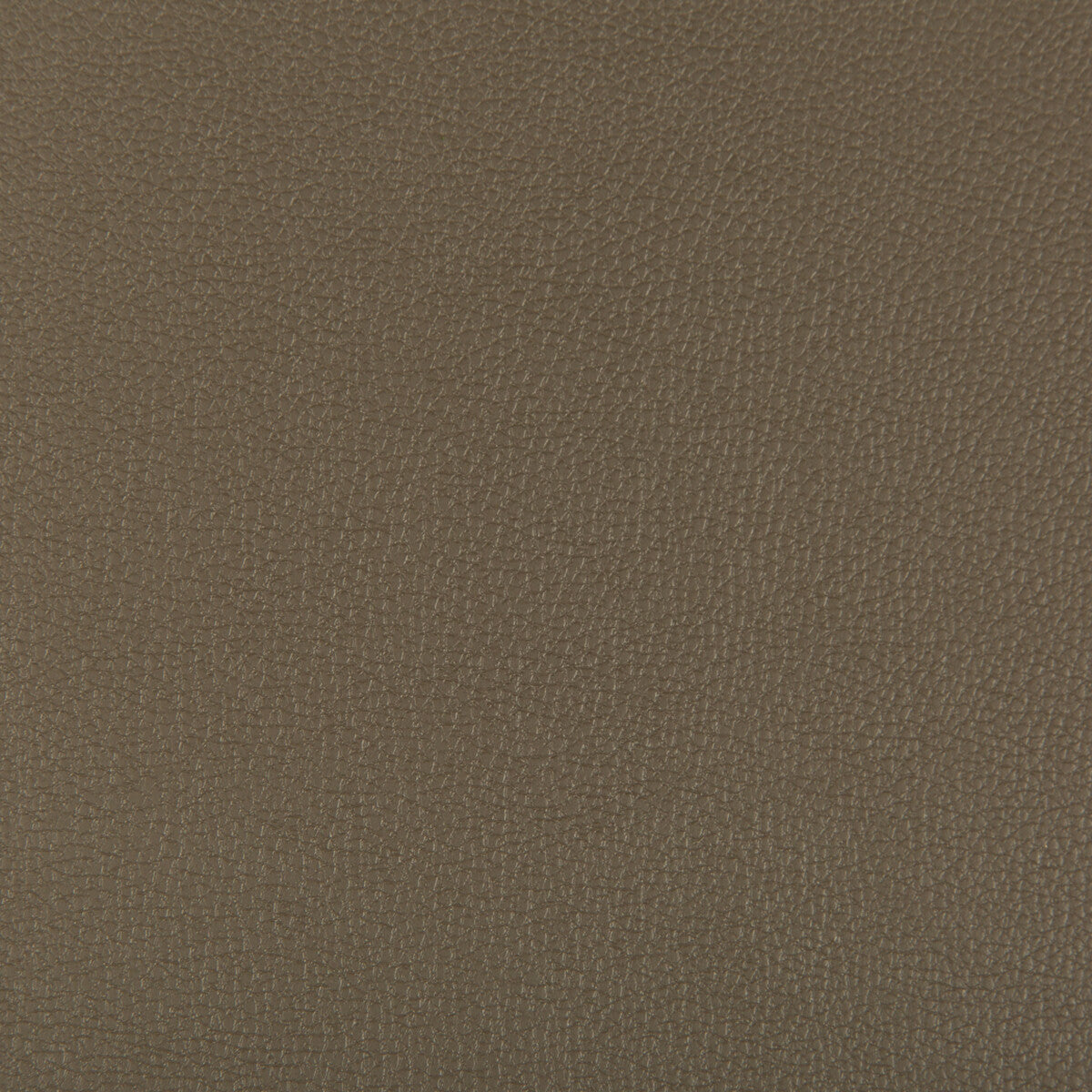 Syrus fabric in porcini color - pattern SYRUS.606.0 - by Kravet Contract