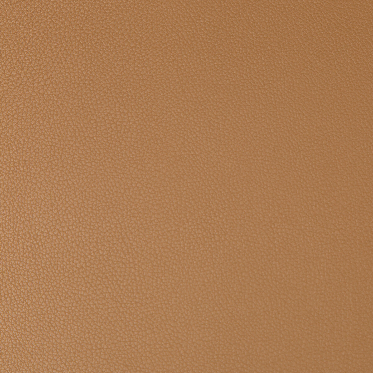 Syrus fabric in saddle color - pattern SYRUS.64.0 - by Kravet Contract