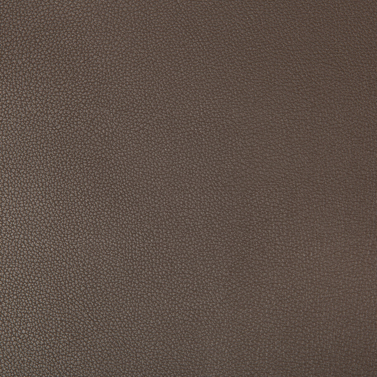 Syrus fabric in espresso color - pattern SYRUS.66.0 - by Kravet Contract